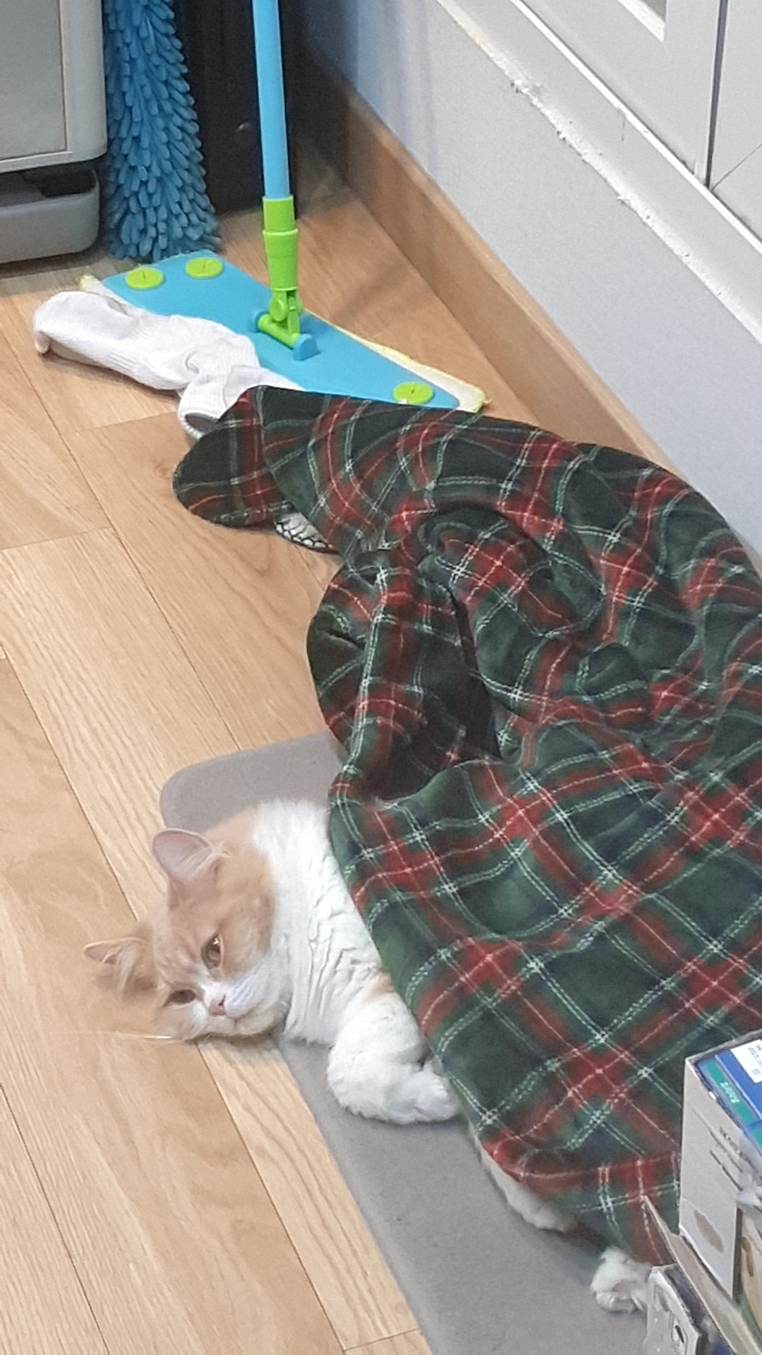 리뷰 사진 1