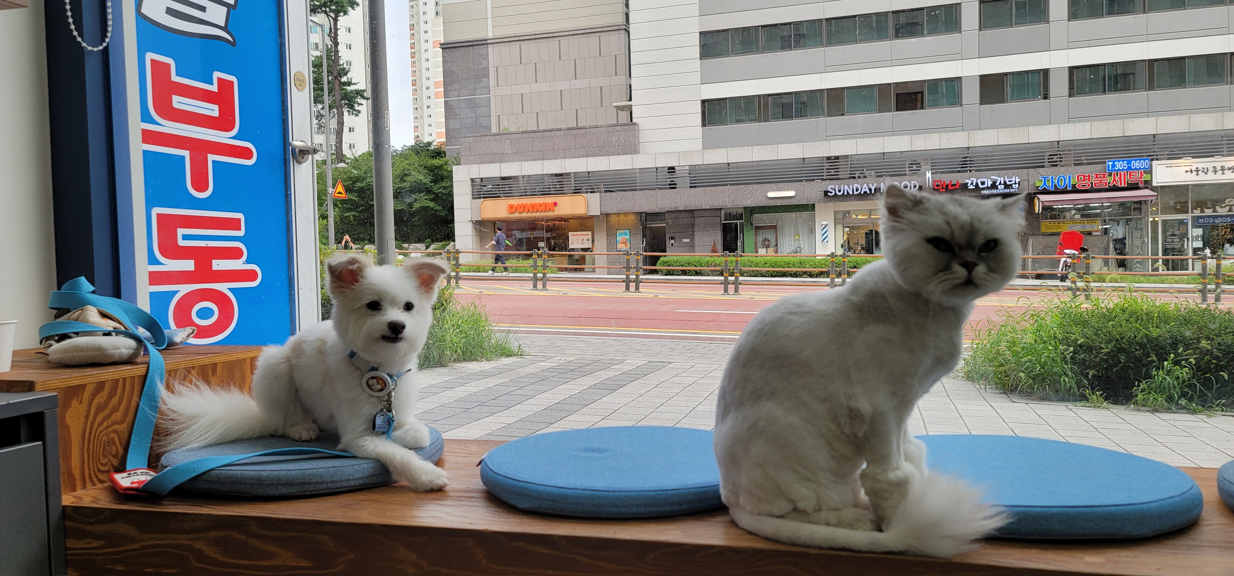 리뷰 사진 1