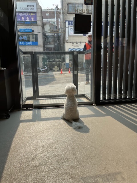 리뷰 사진 2