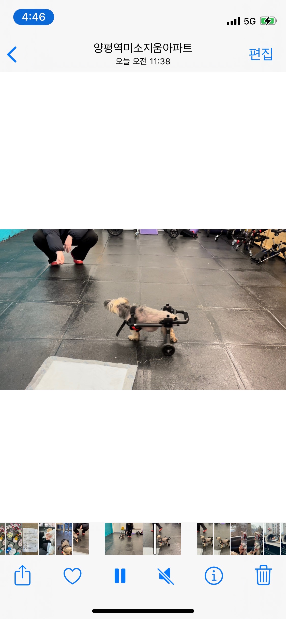 PET25시동물병원 사진 4