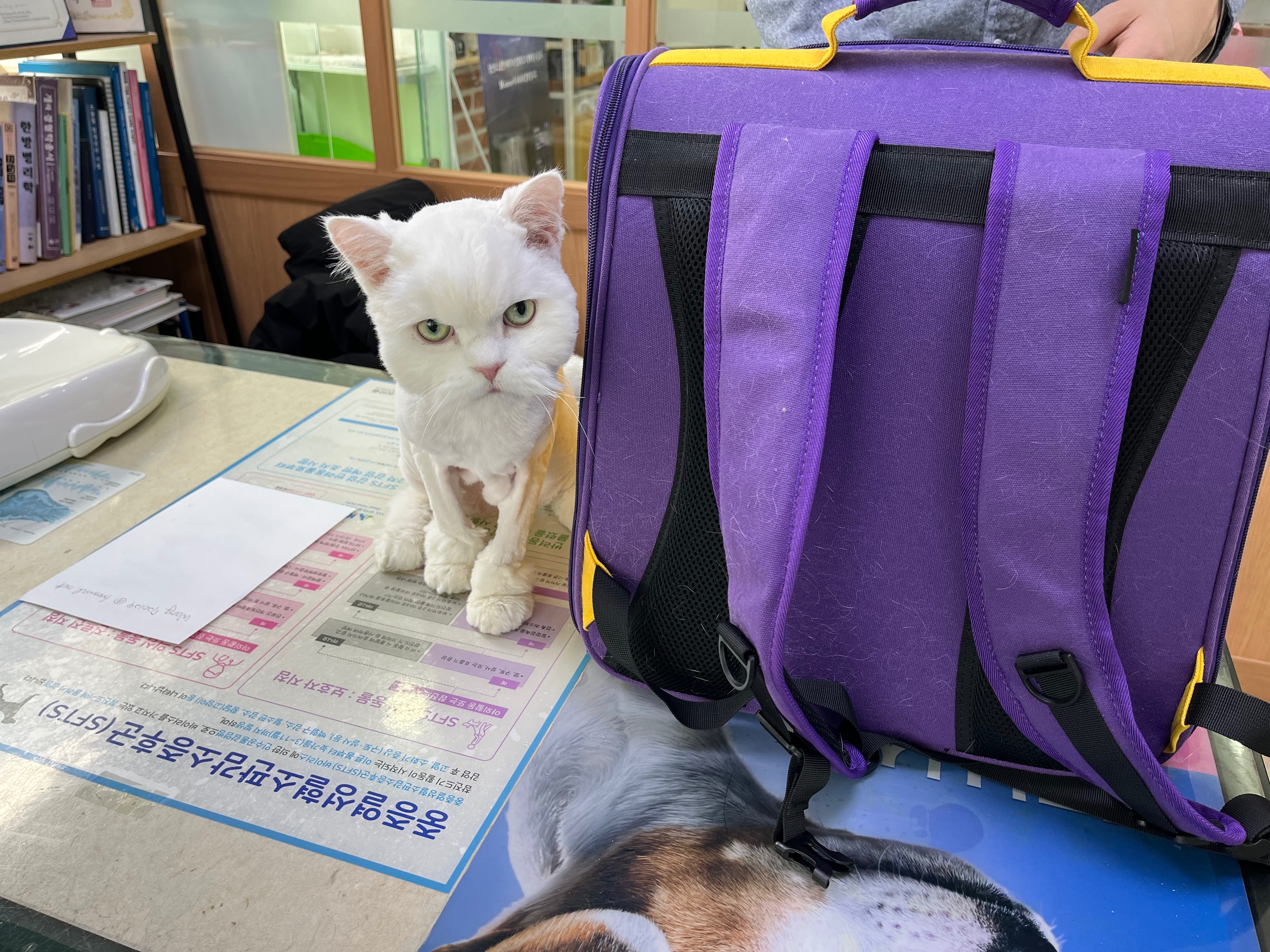 리뷰 사진 2