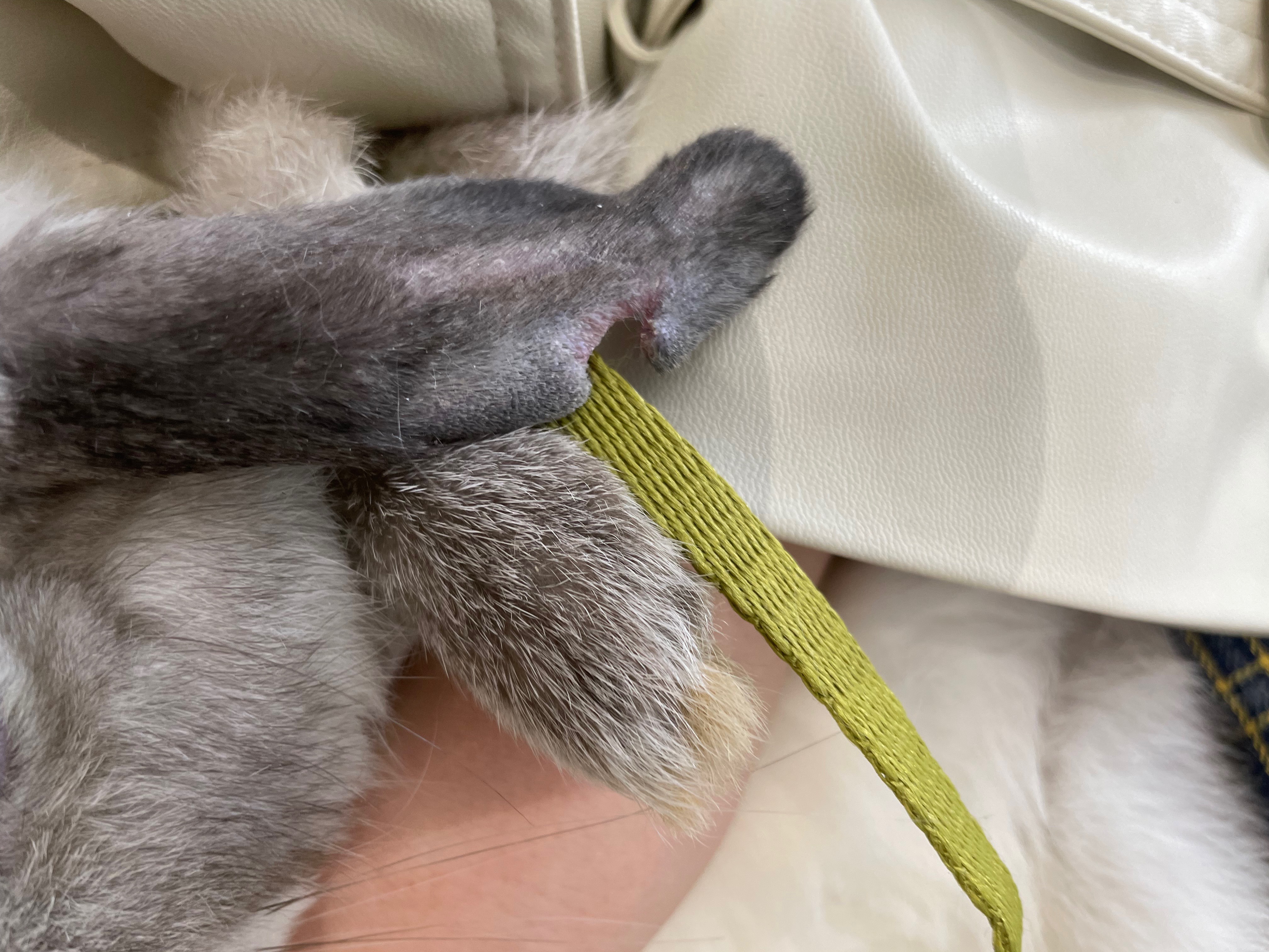 리뷰 사진 3