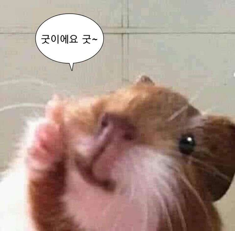 그린피부과의원