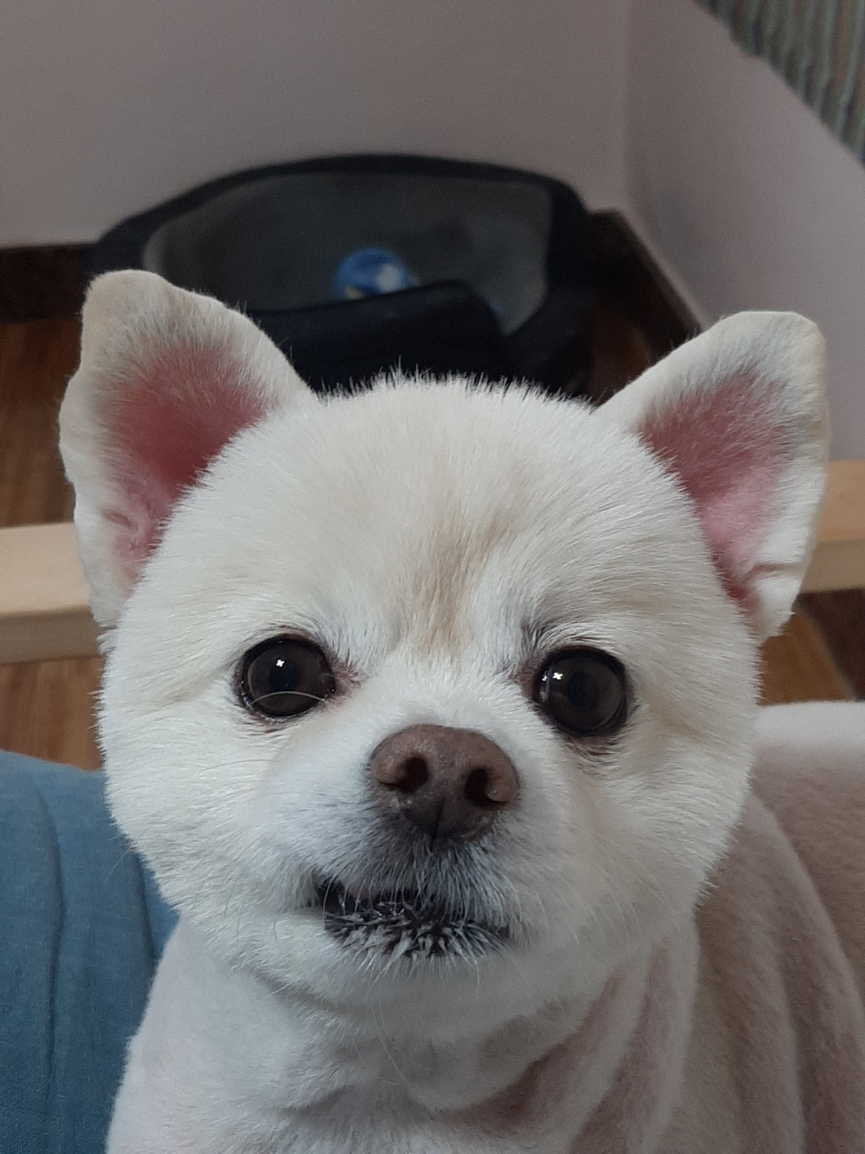 리뷰 사진 1