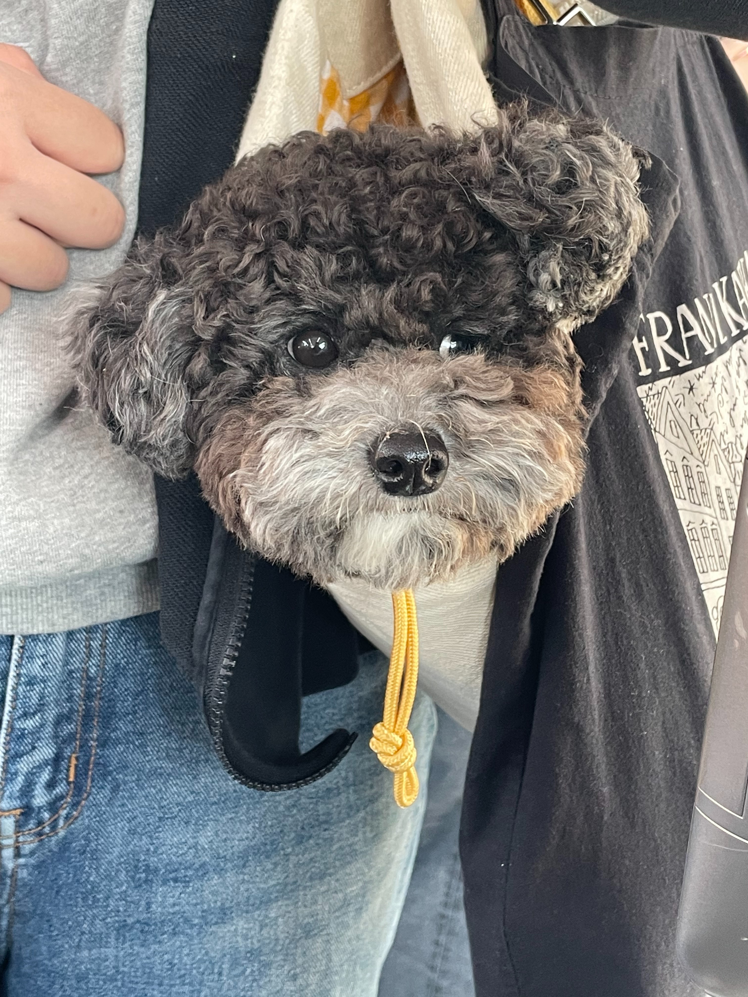 리뷰 사진 1