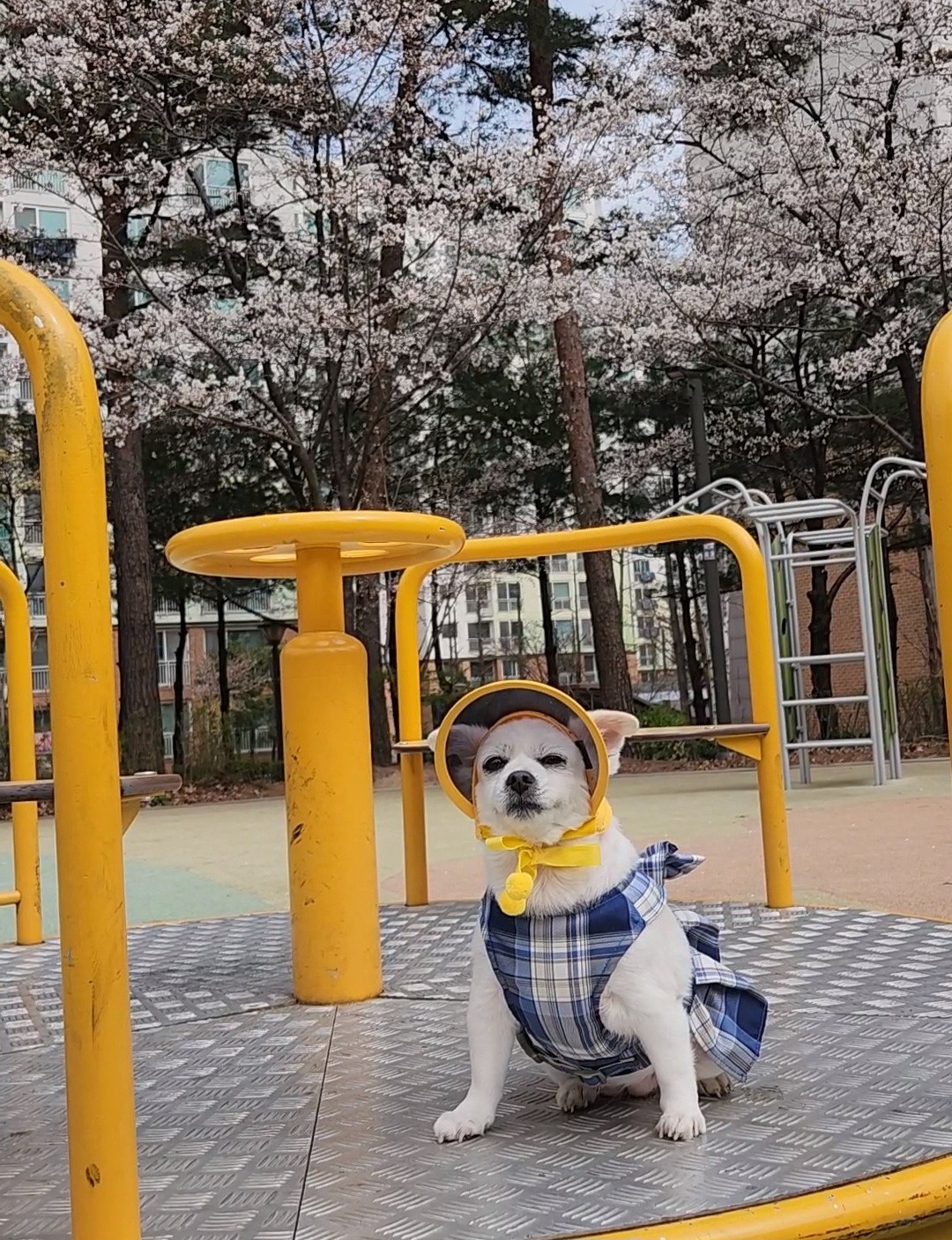 리뷰 사진 2