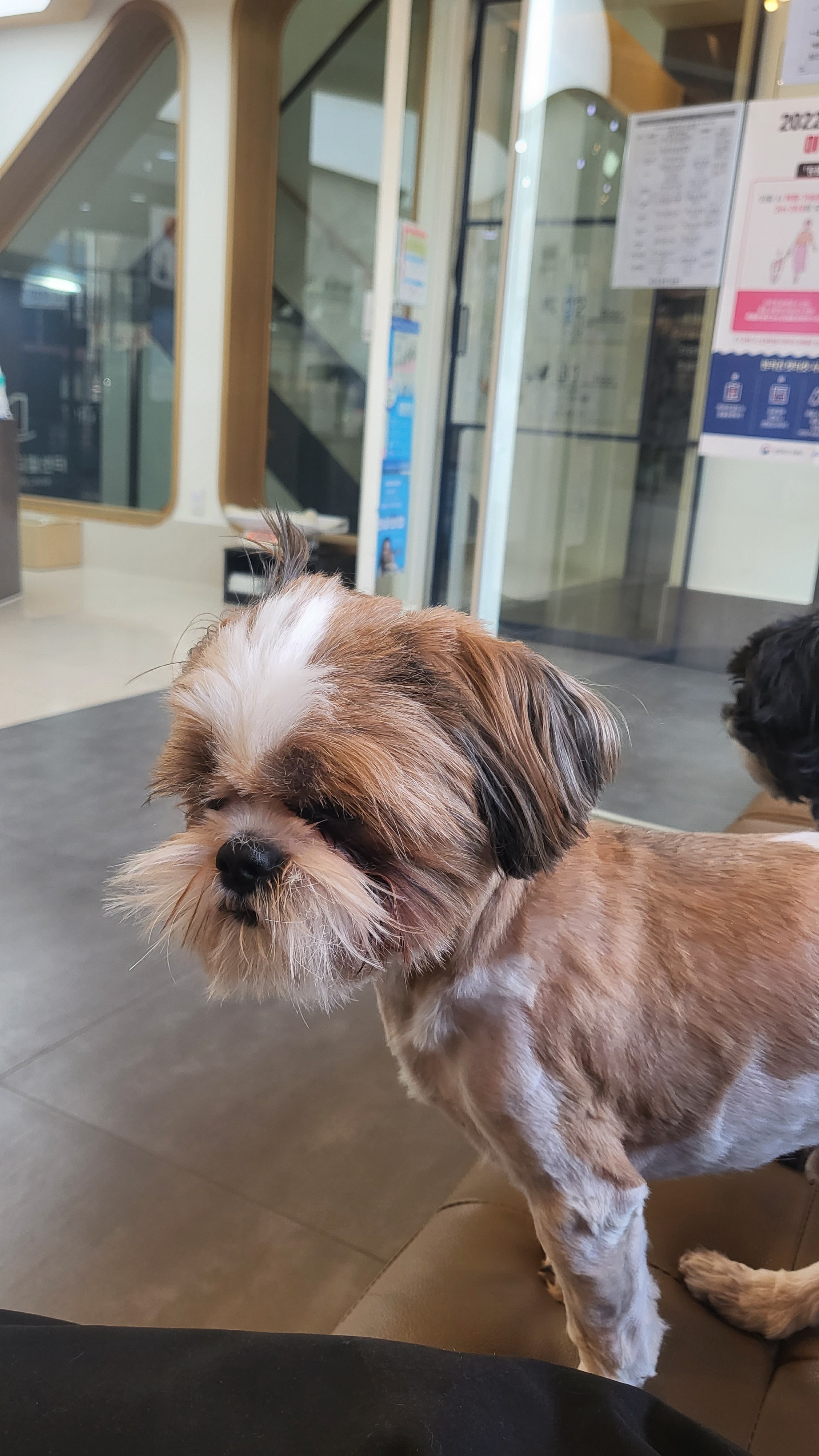 리뷰 사진 2