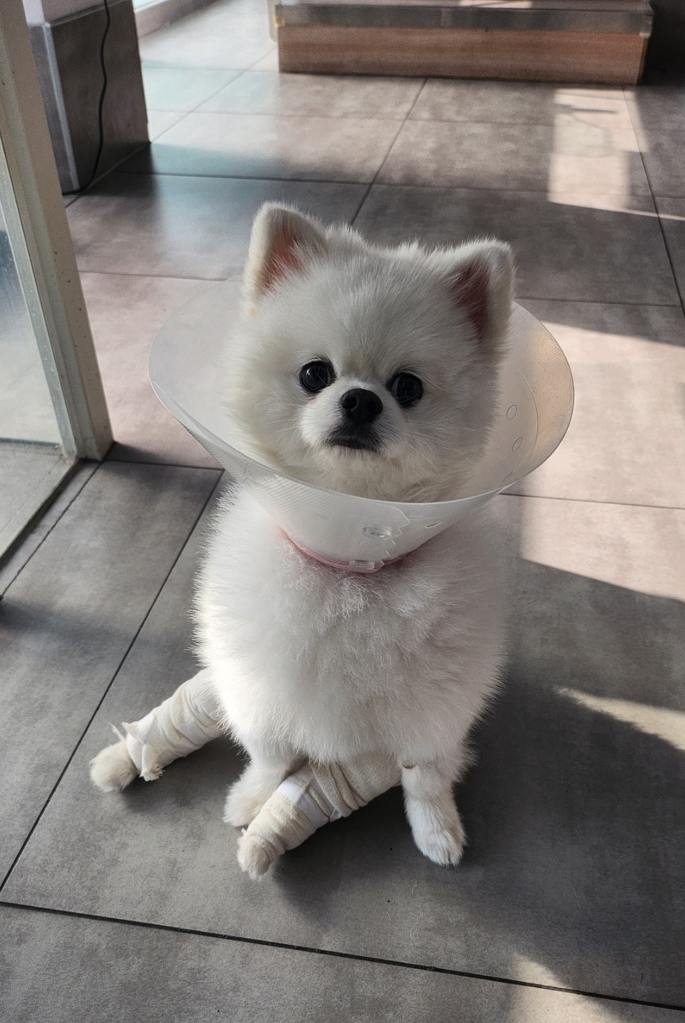 리뷰 사진 2