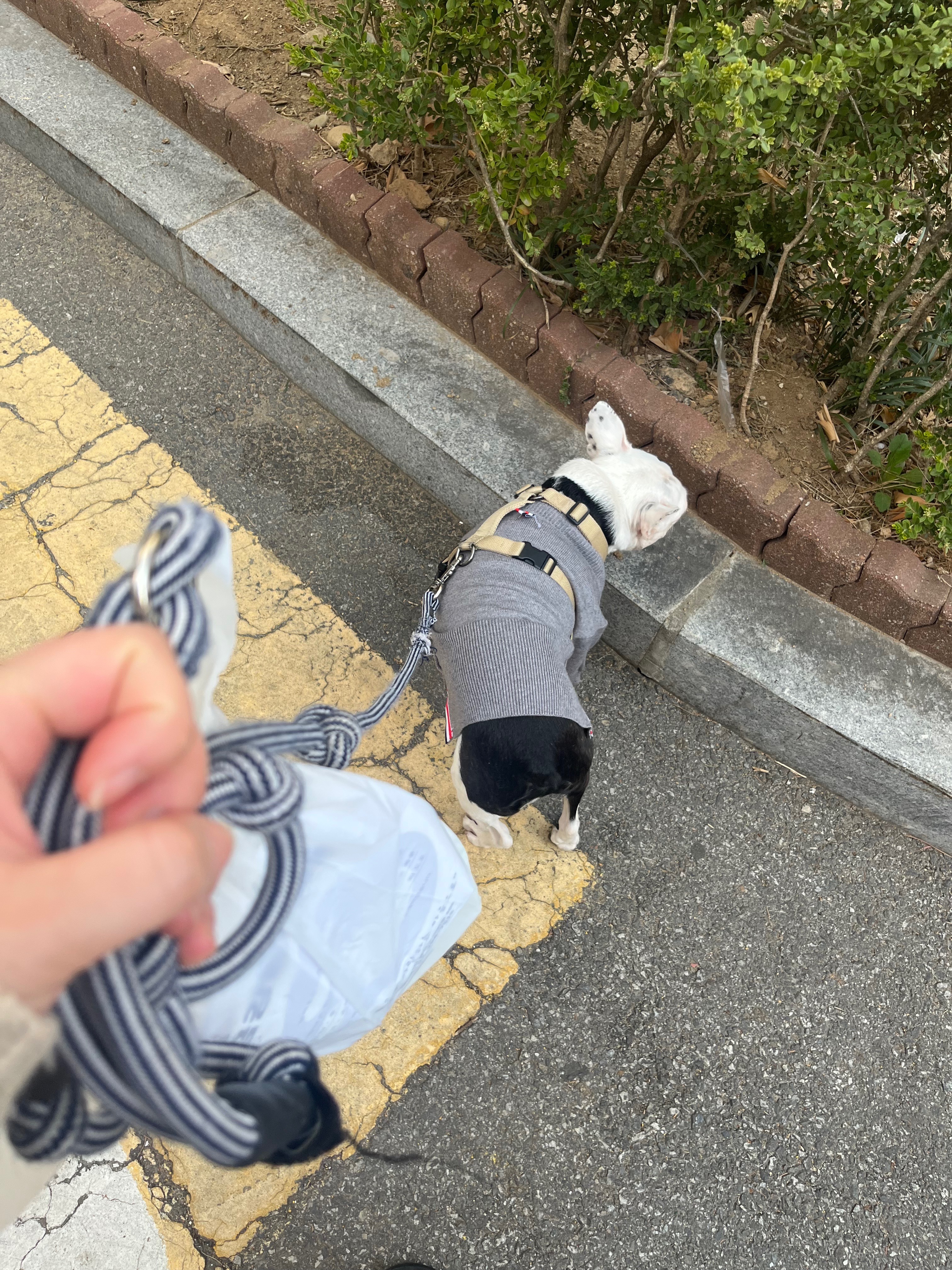 금강동물병원 사진 2