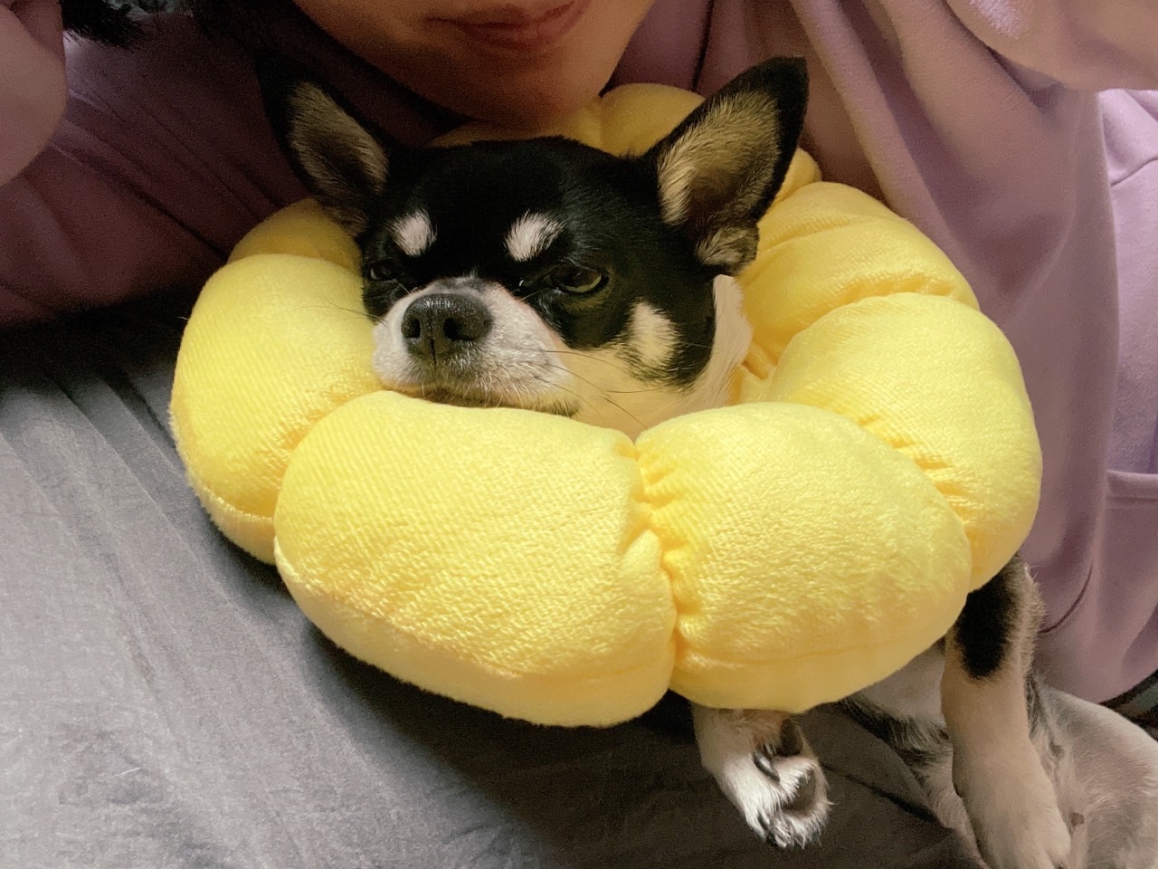 리뷰 사진 1