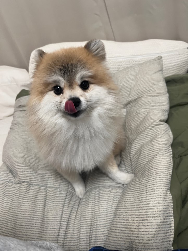 리뷰 사진 1