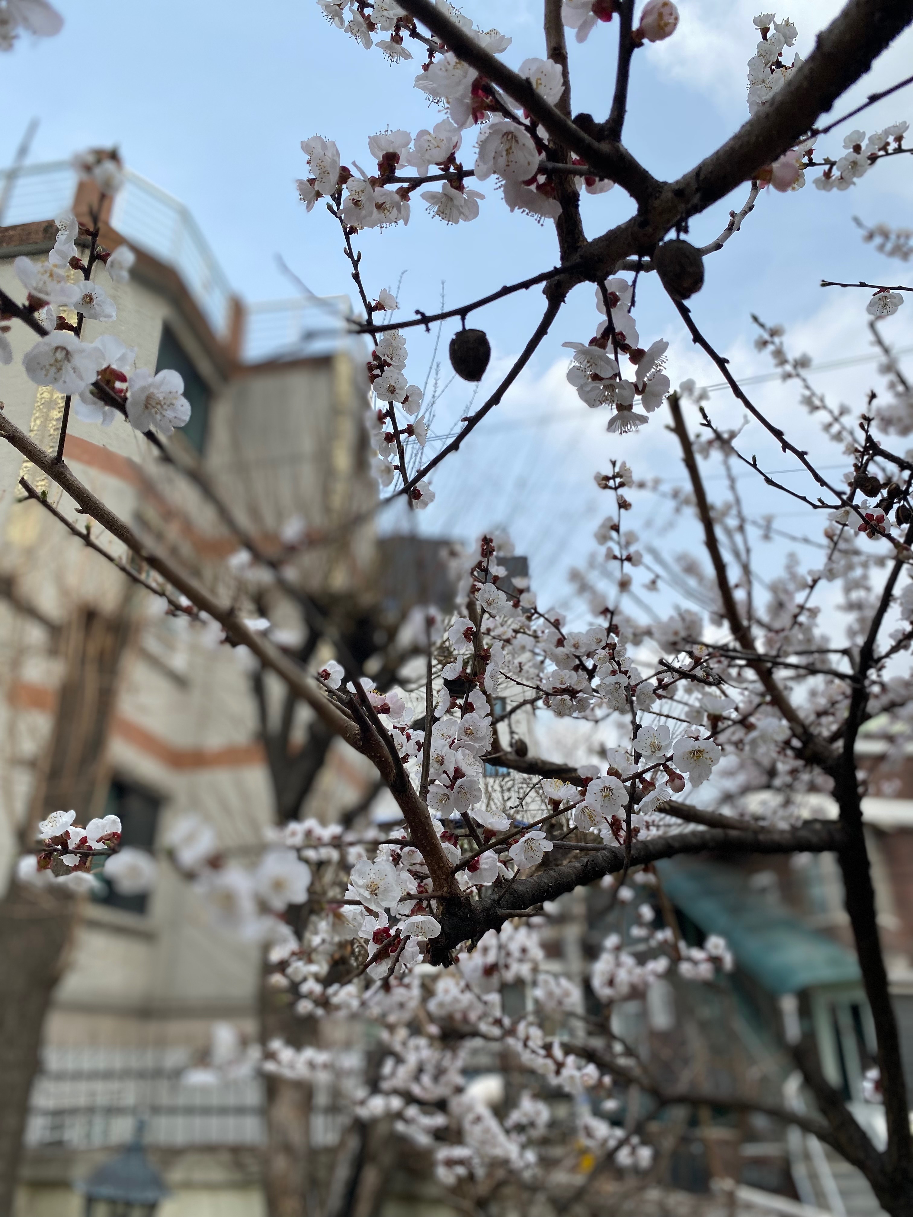  강변역 캠핑 바비큐 카페몽당