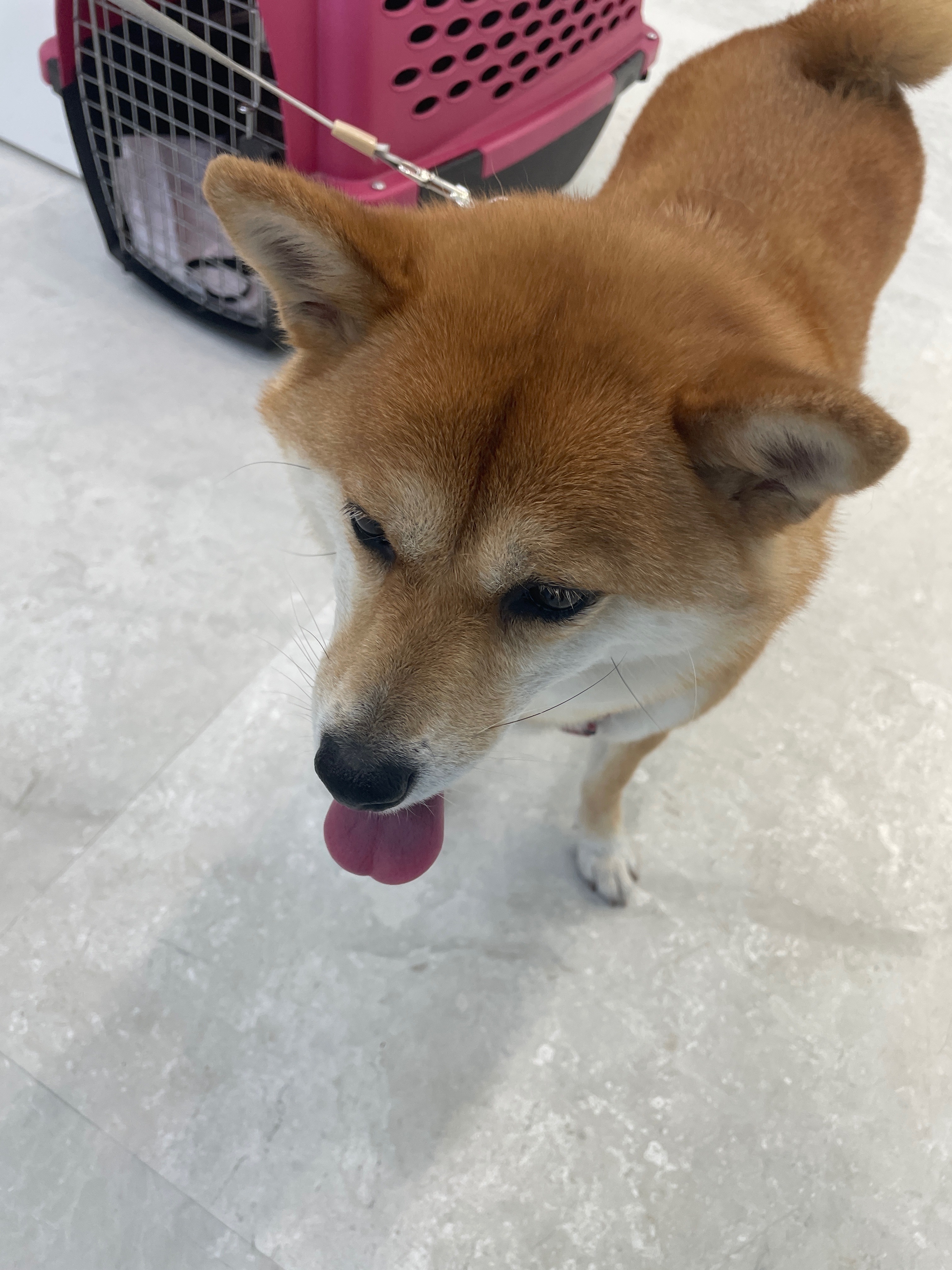 리뷰 사진 2