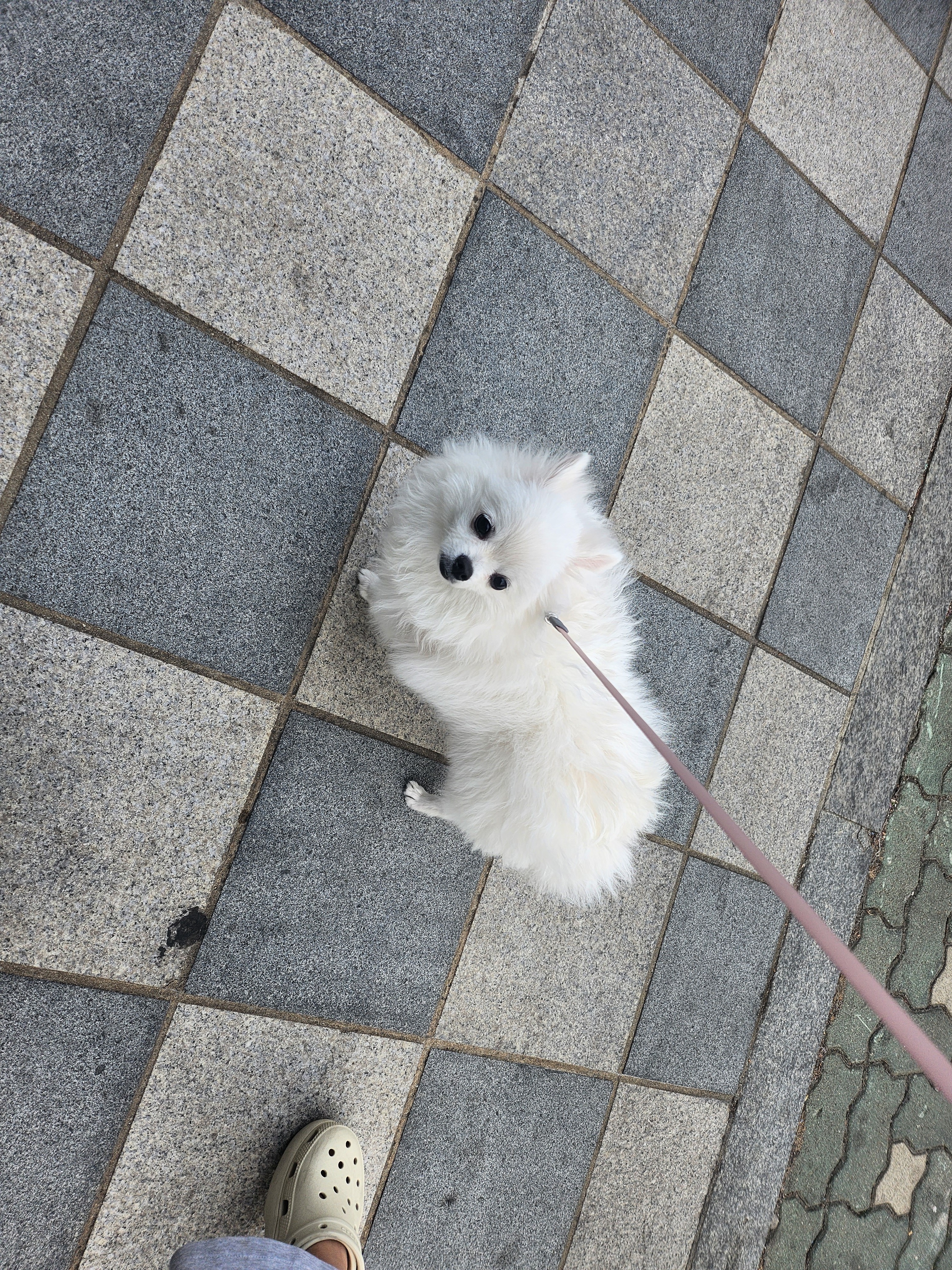 리뷰 사진 1