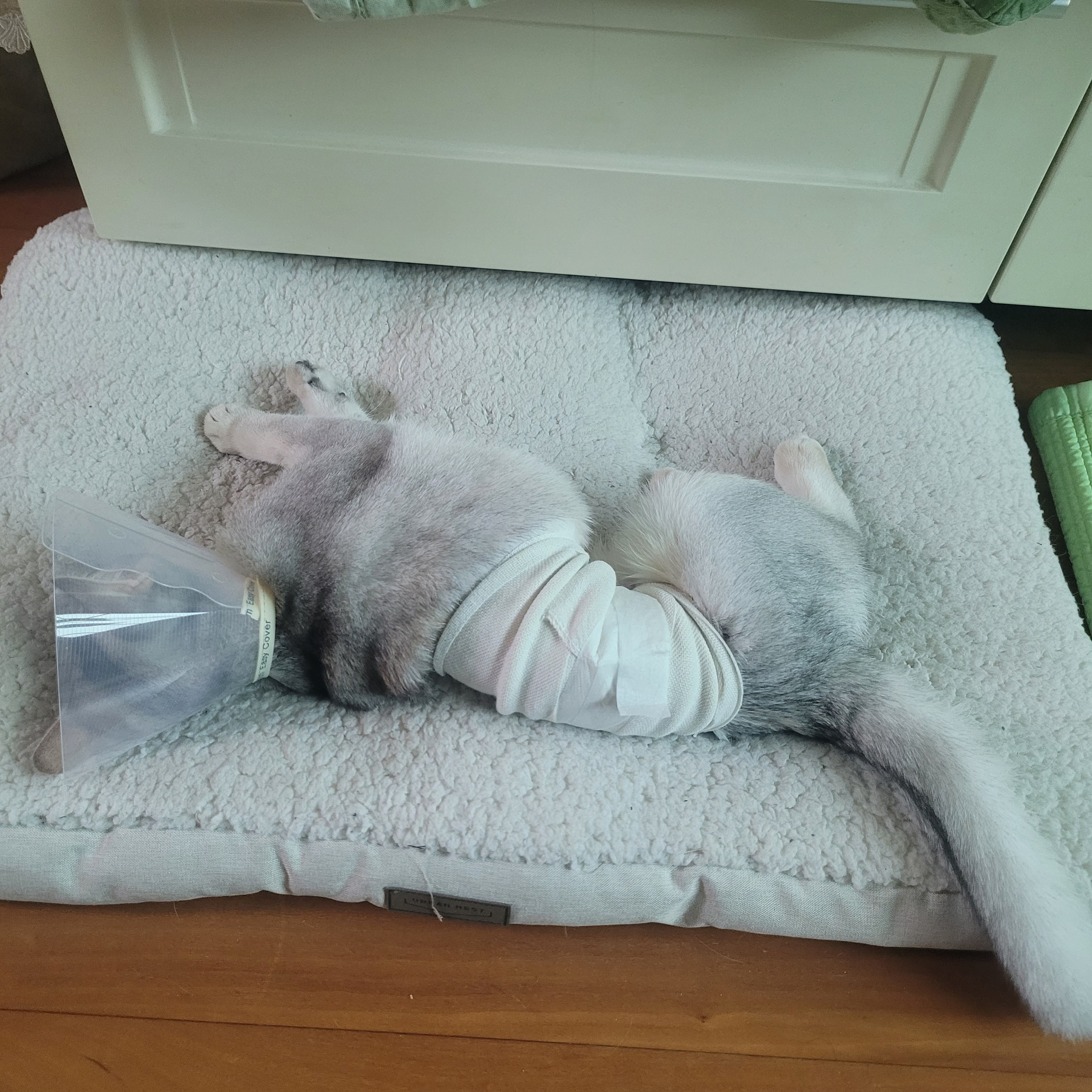 리뷰 사진 1