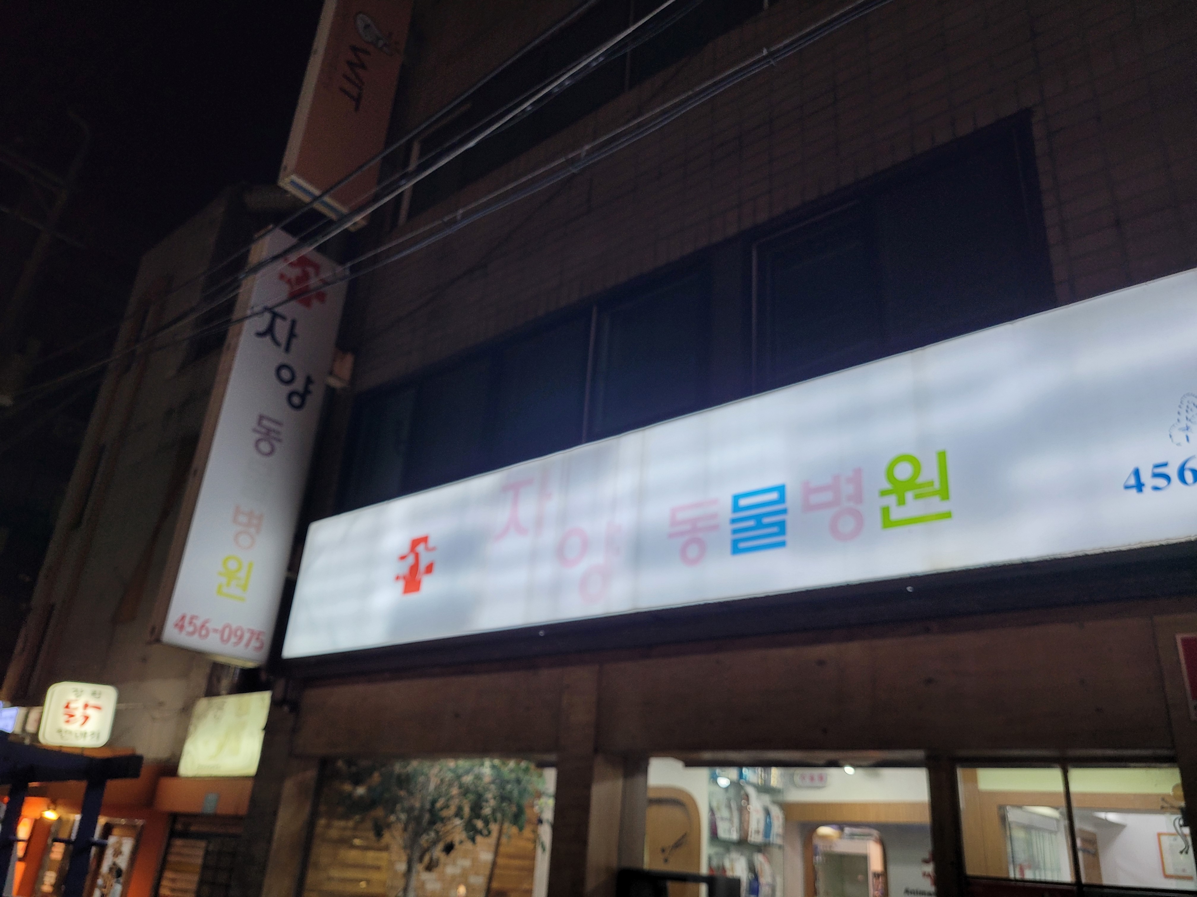 리뷰 사진 3