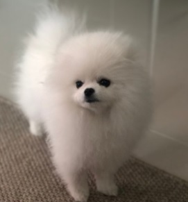 리뷰 사진 1