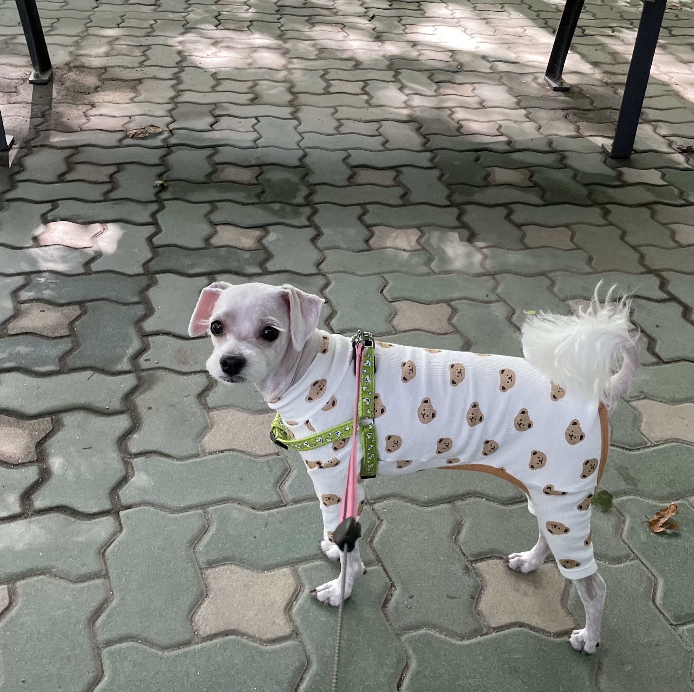 롯데동물병원 사진 2