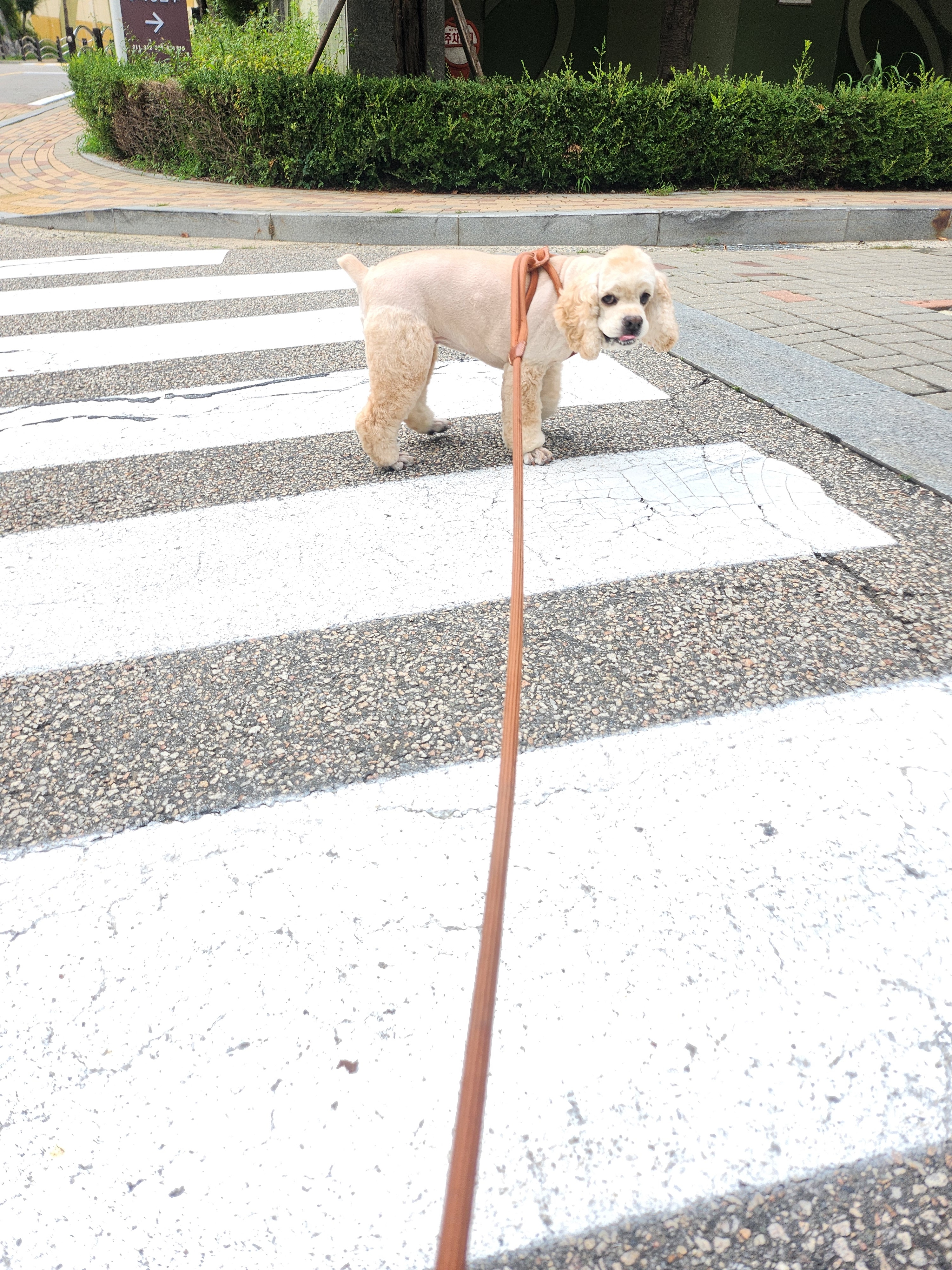 리뷰 사진 2