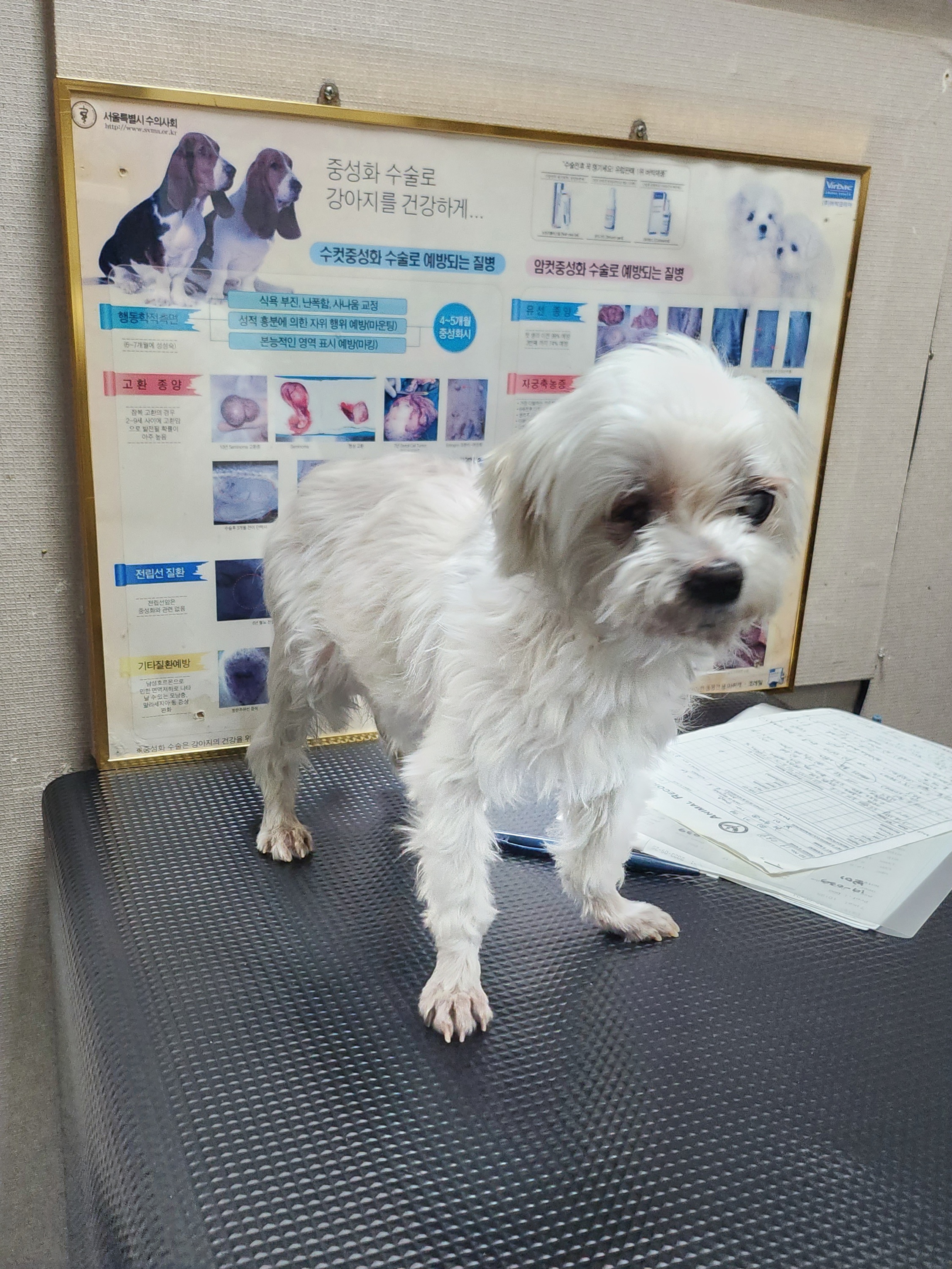 리뷰 사진 1