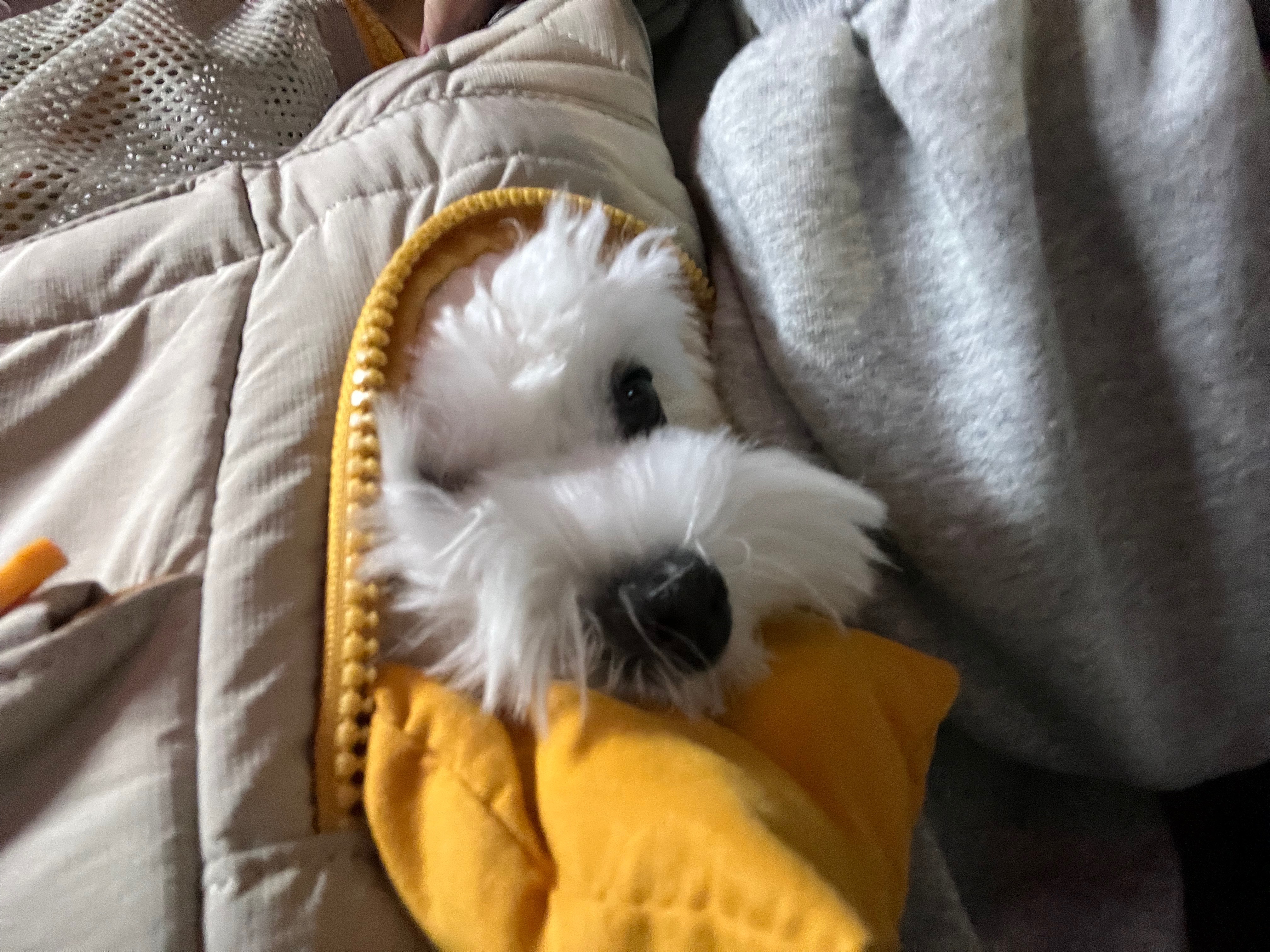 리뷰 사진 1