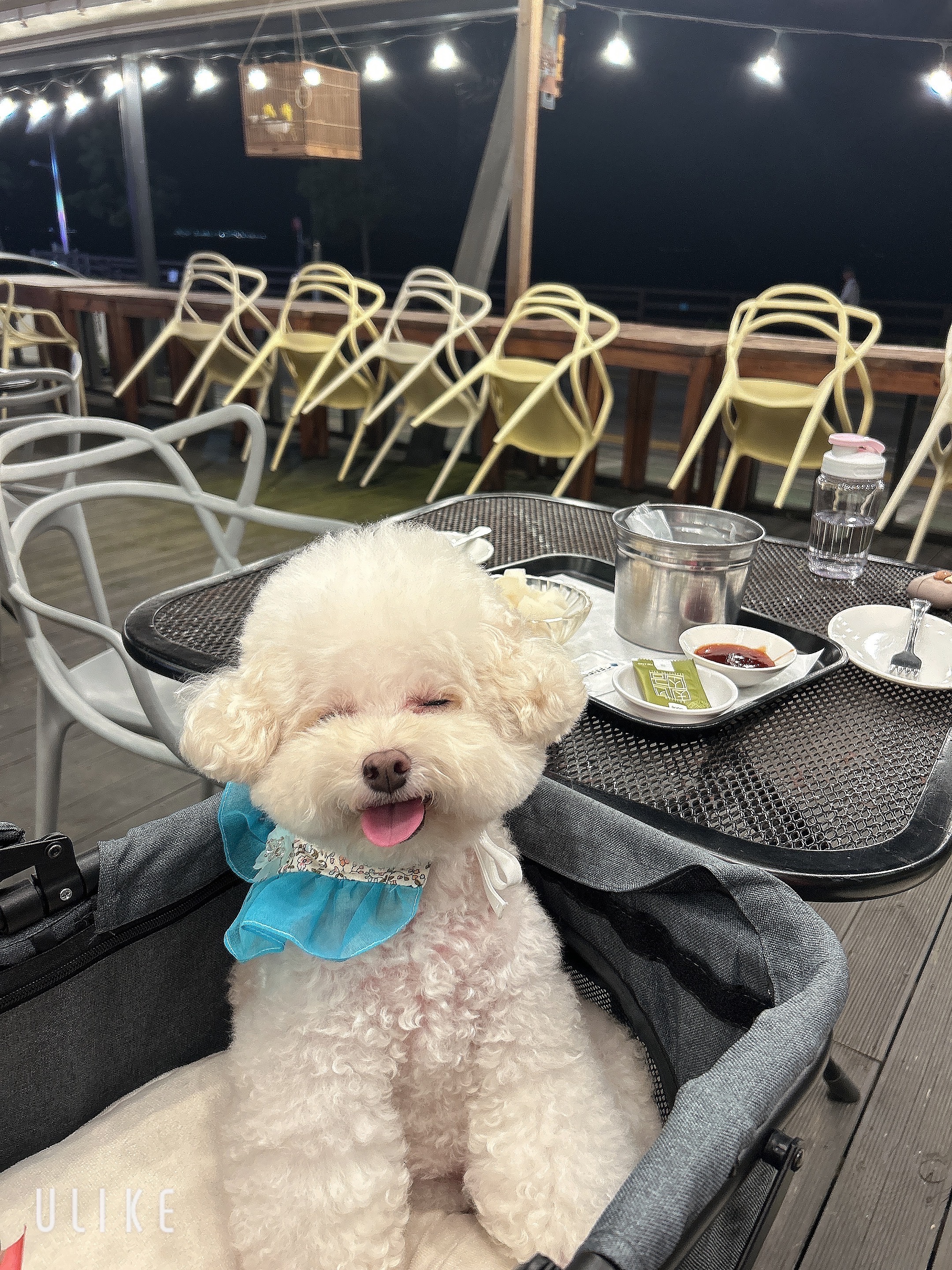 [제부도 맛집 bbq올리브카페제부도점] 직접 가본 로컬 리뷰