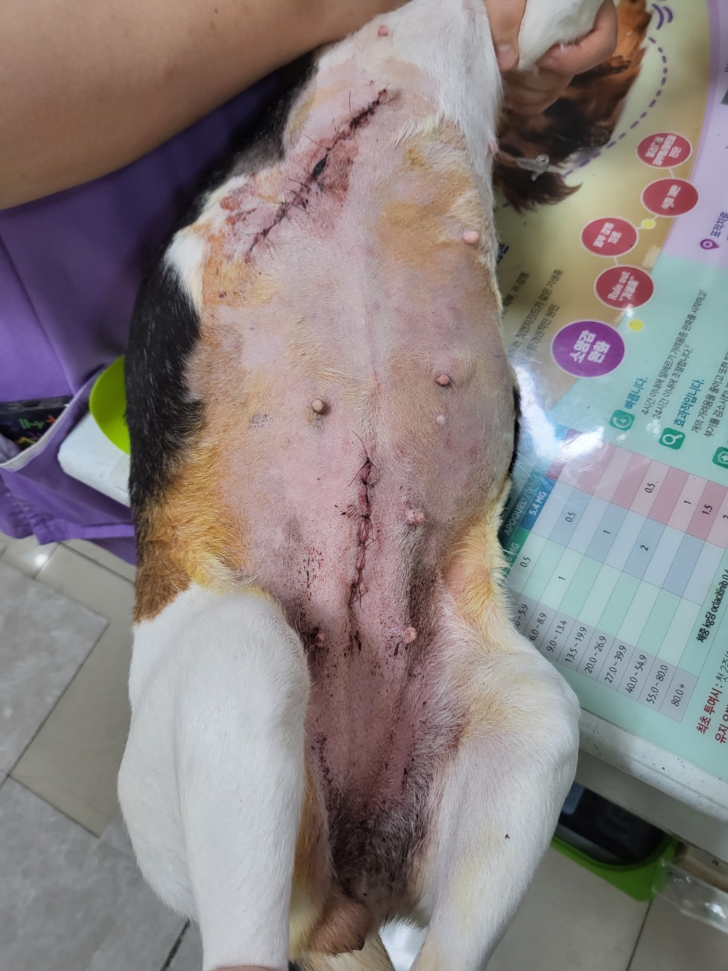 리뷰 사진 3