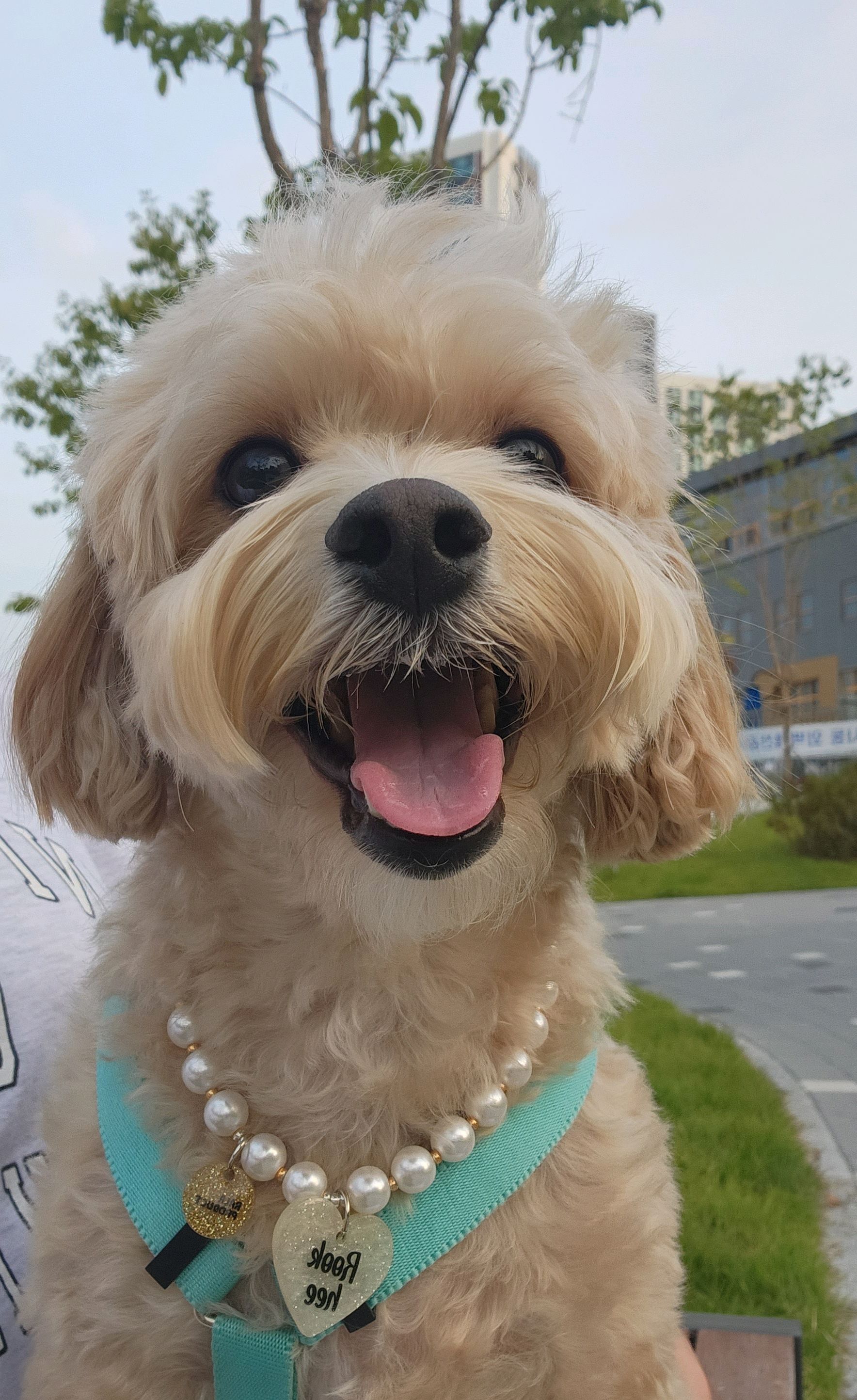 리뷰 사진 1