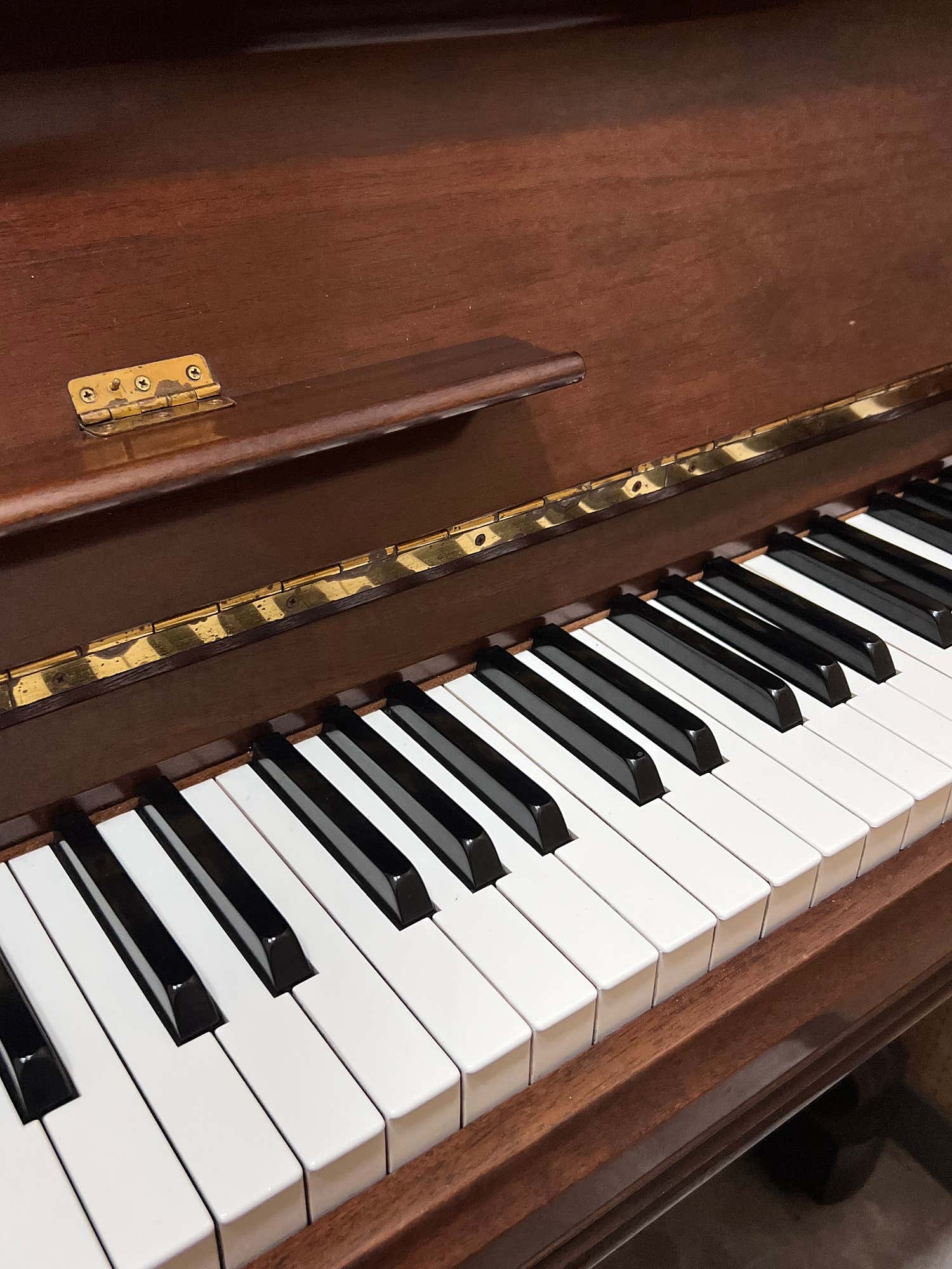 2번째 스튜디오 사진