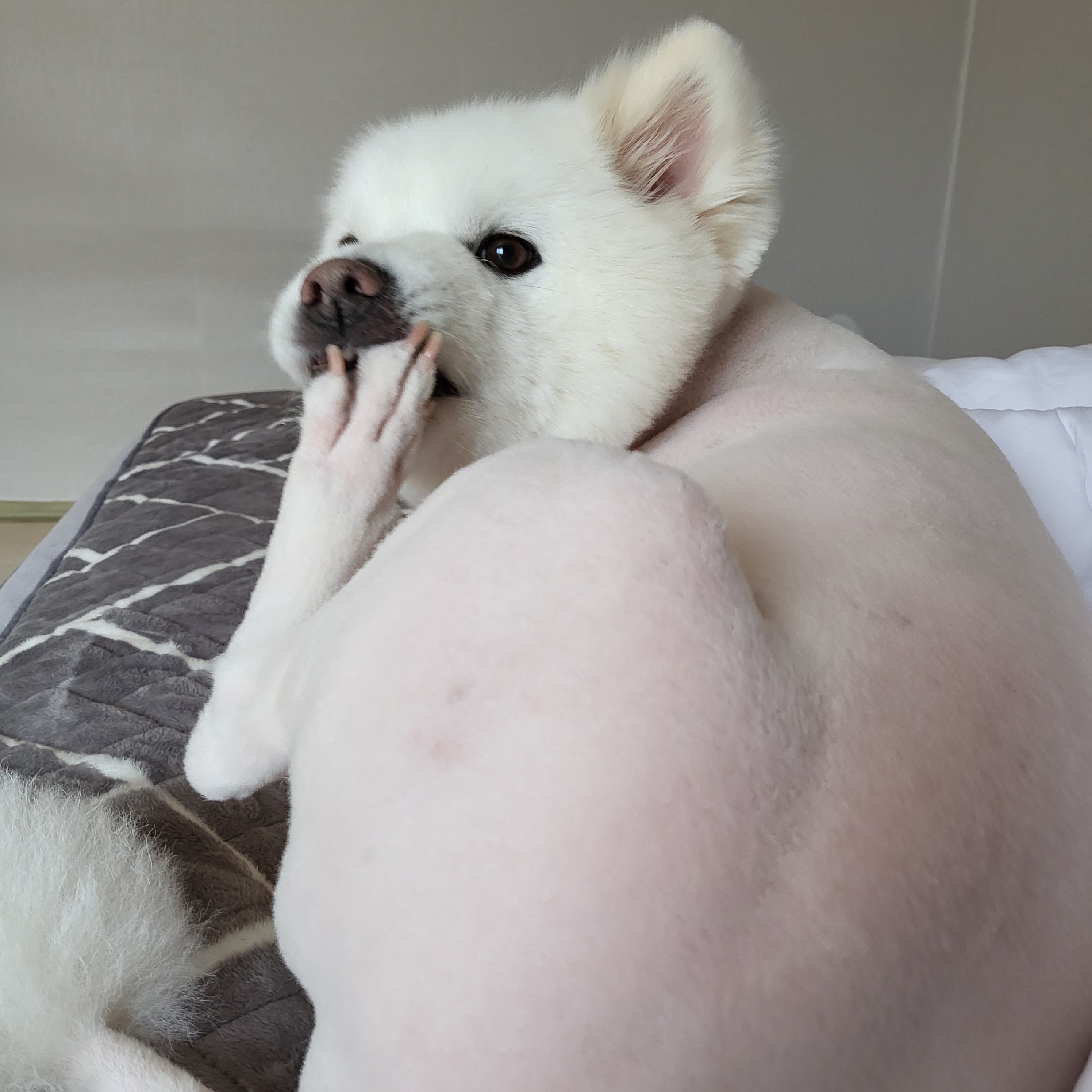 리뷰 사진 1