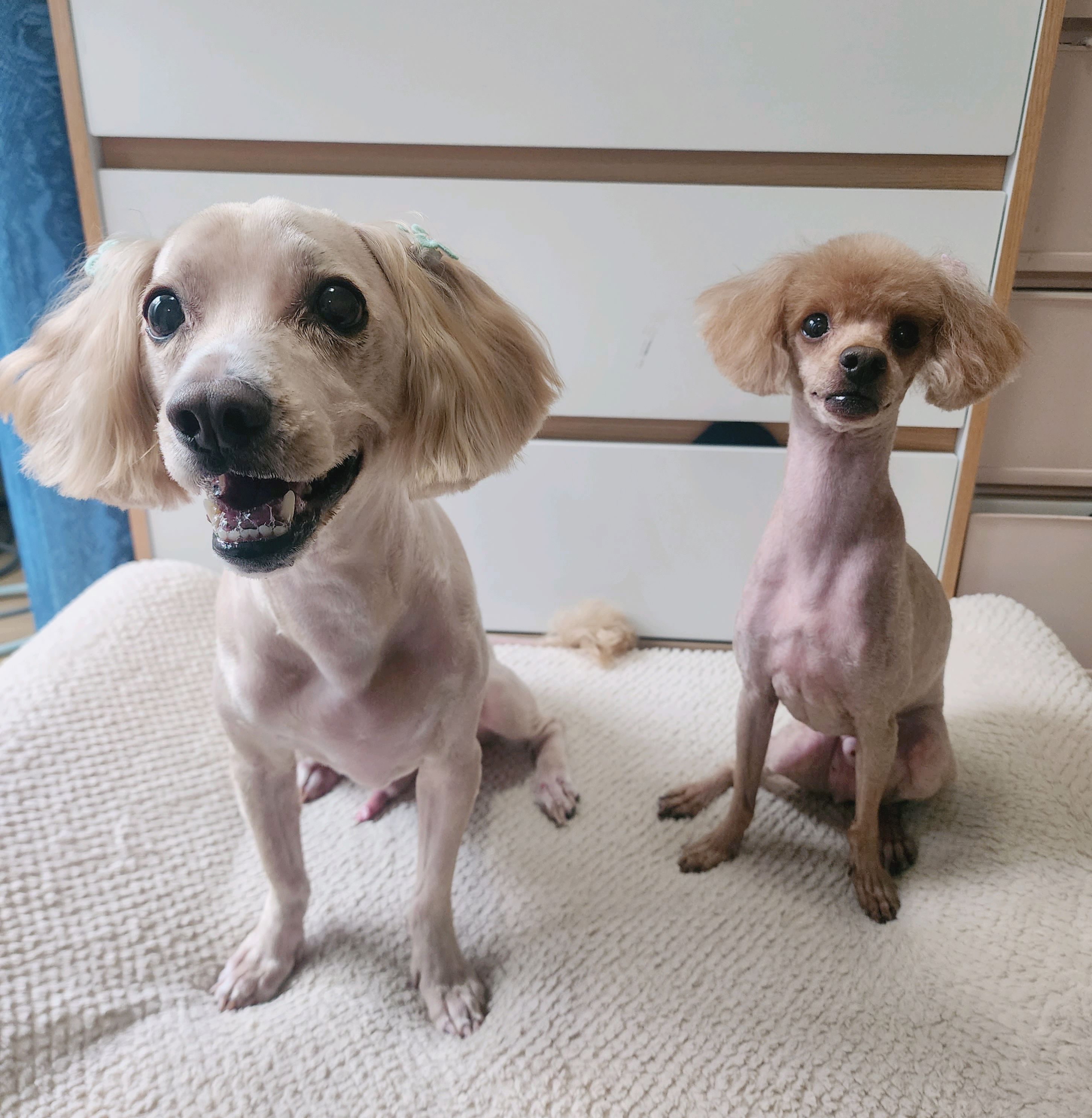 리뷰 사진 2