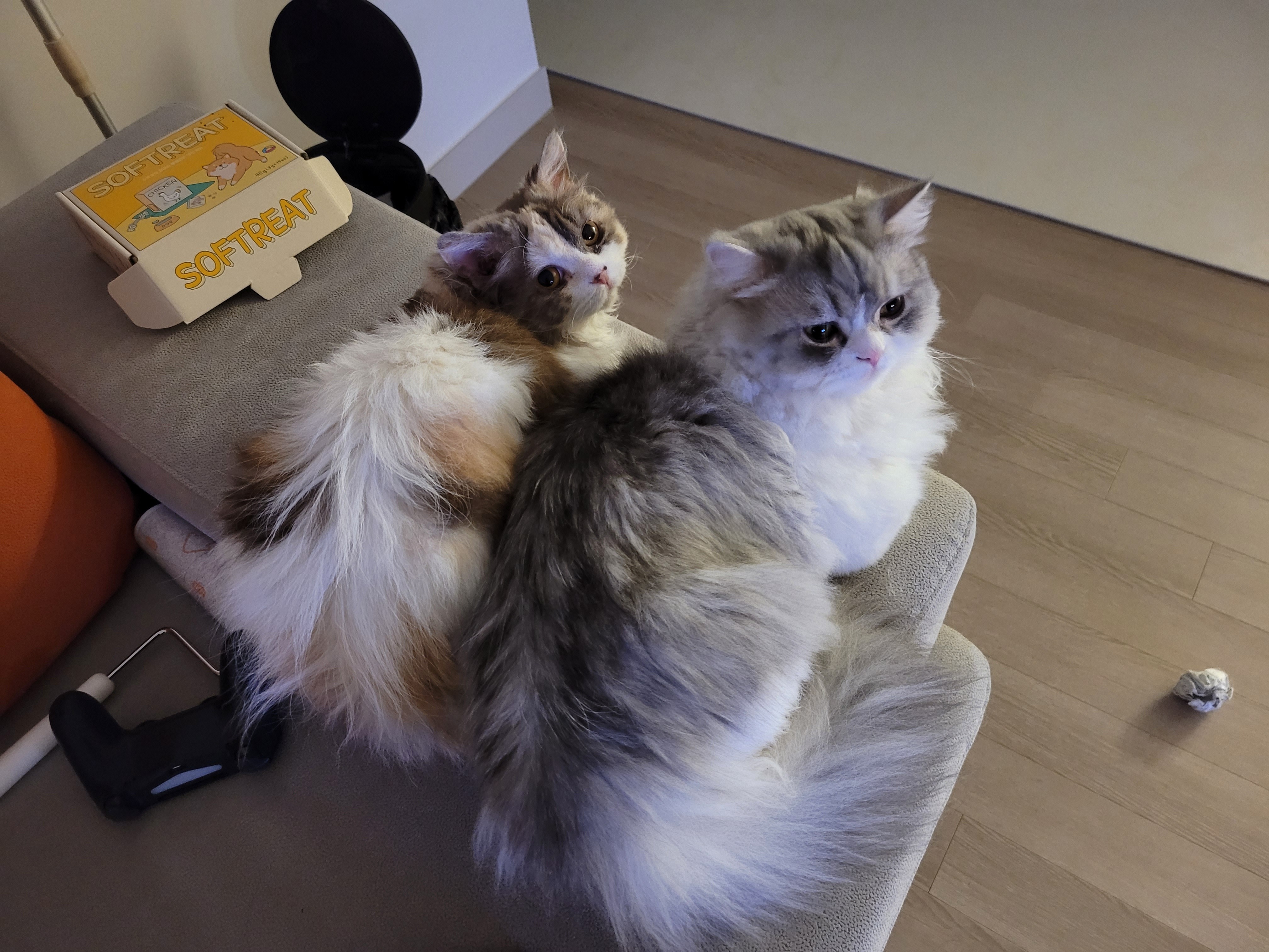 리뷰 사진 1