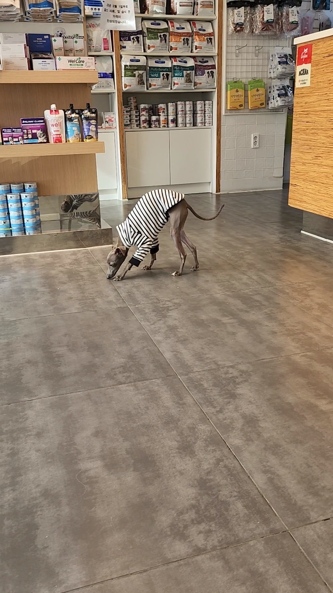리뷰 사진 2