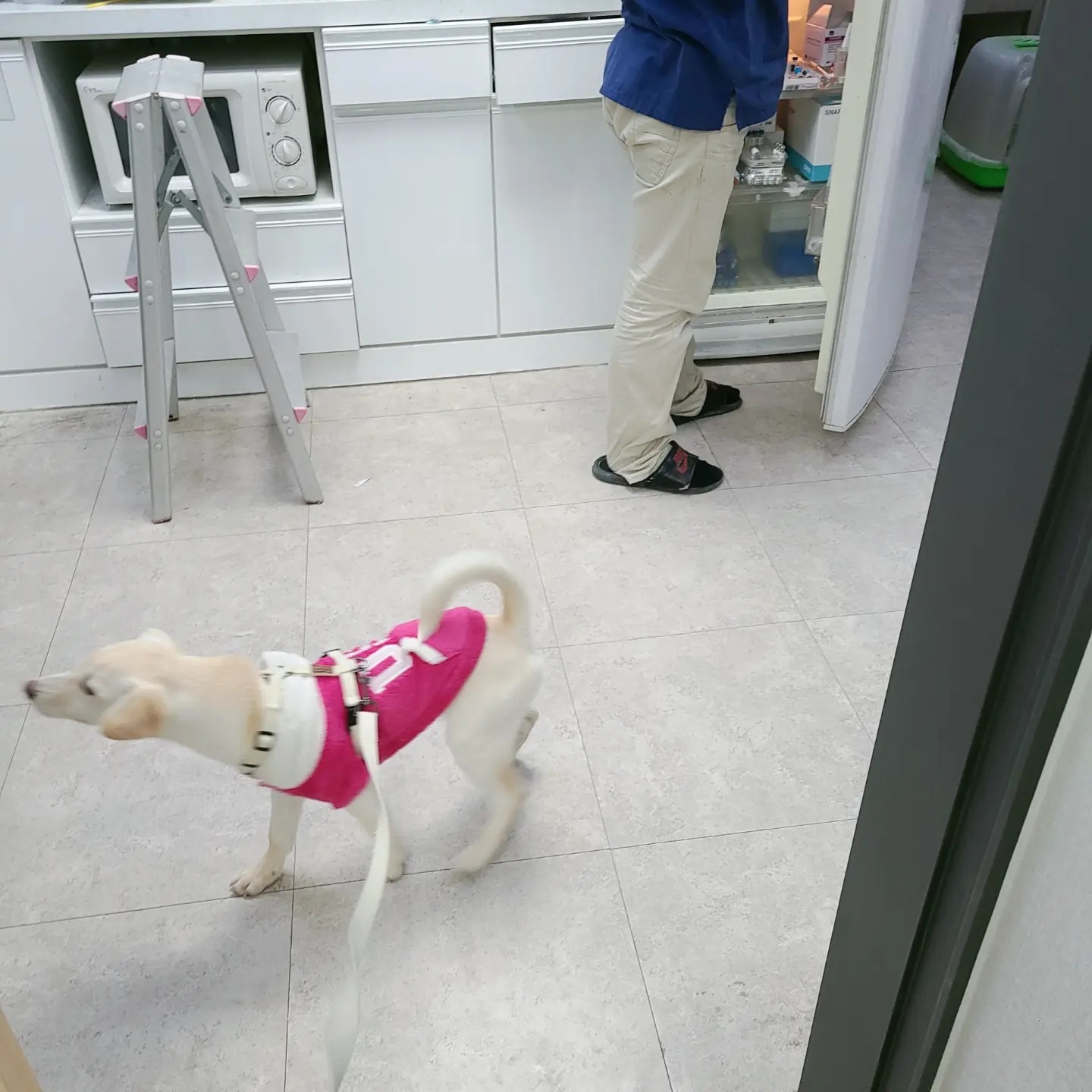 리뷰 사진 1