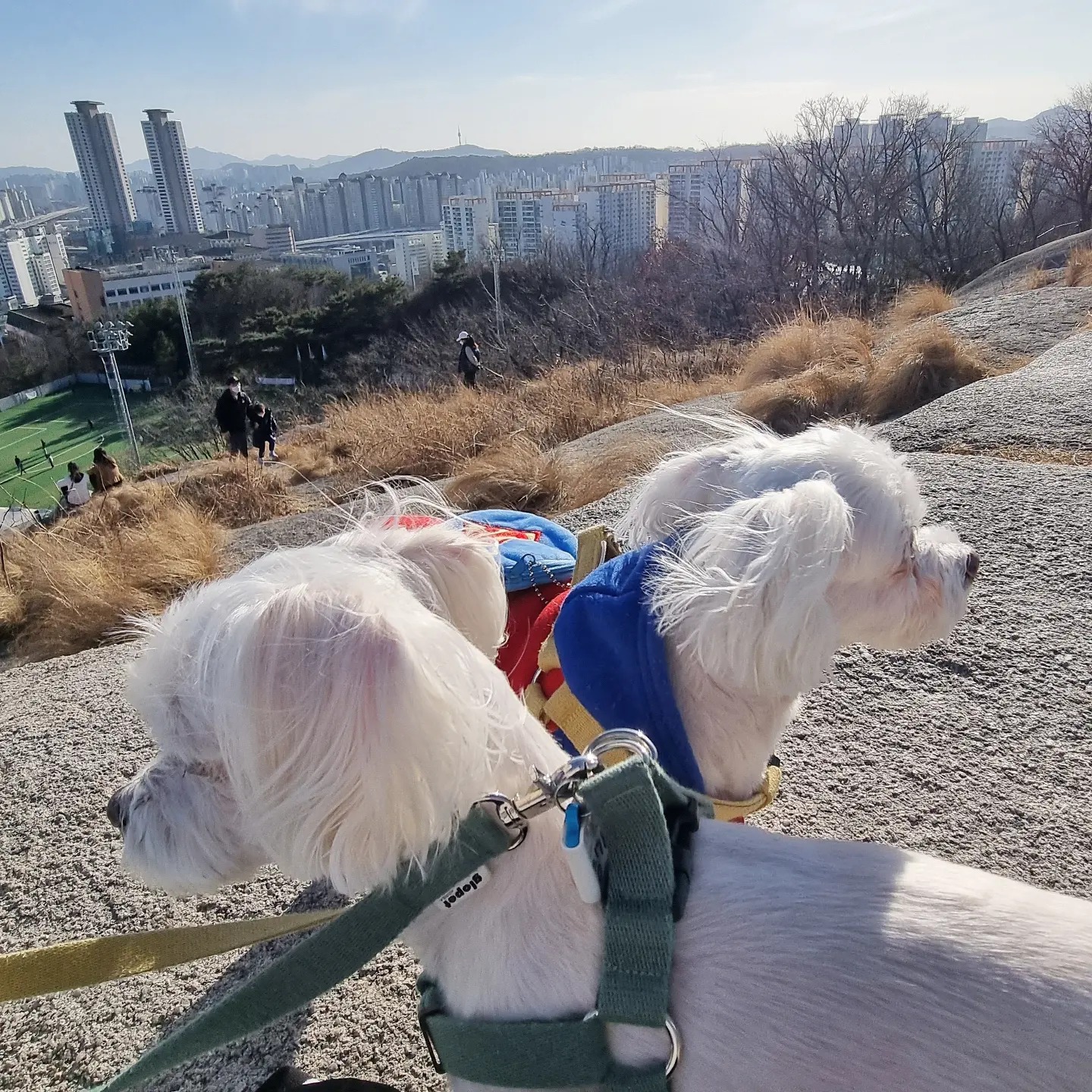 리뷰 사진 1