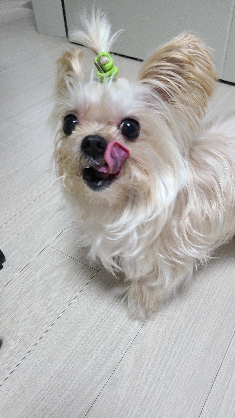 리뷰 사진 1