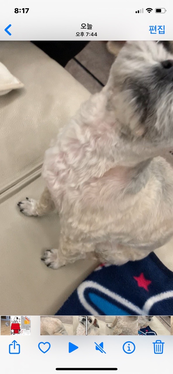 달래동물의료센터 사진 2