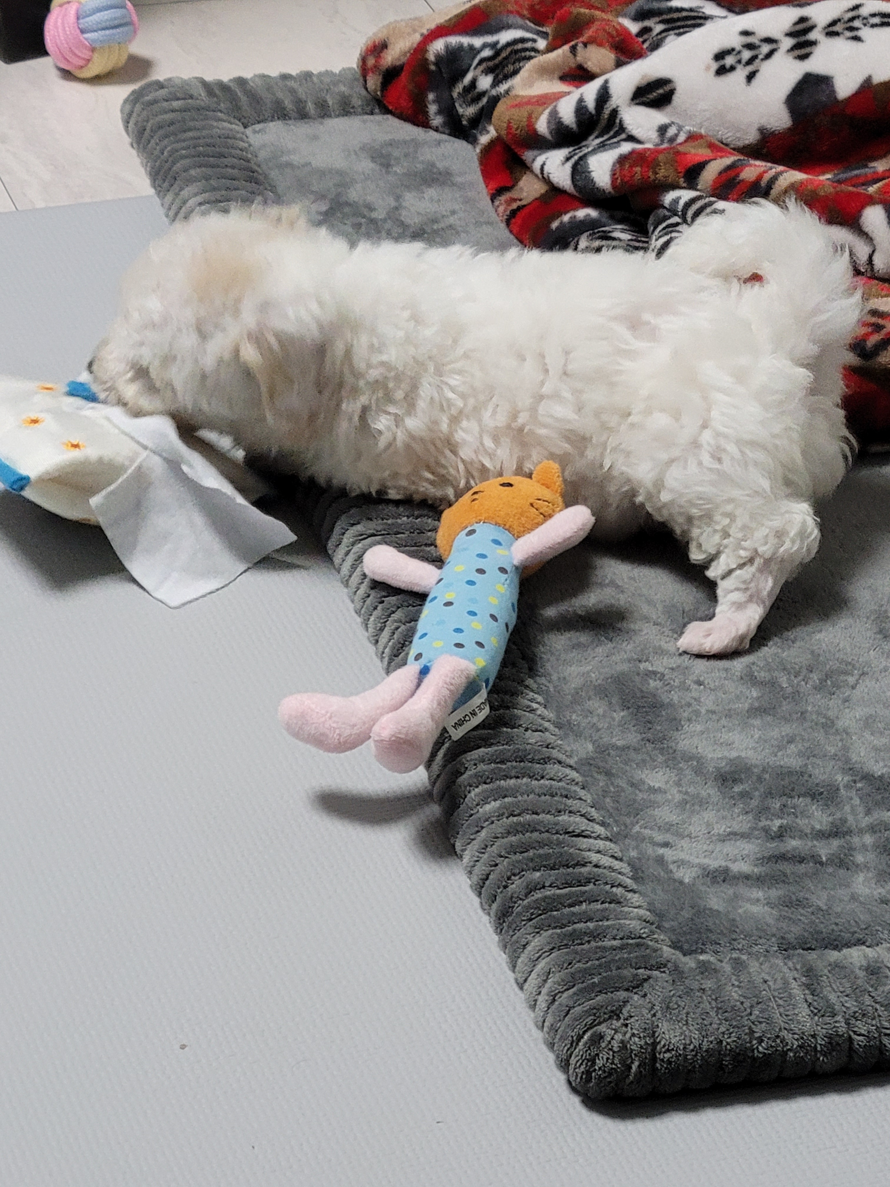 리뷰 사진 1