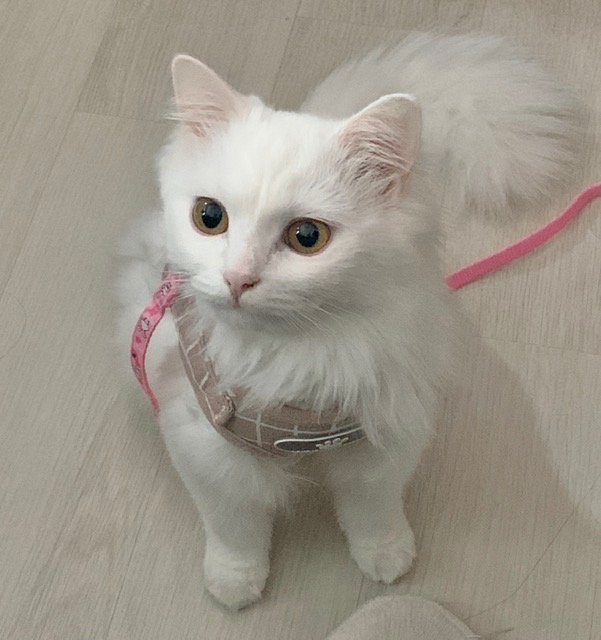 리뷰 사진 2