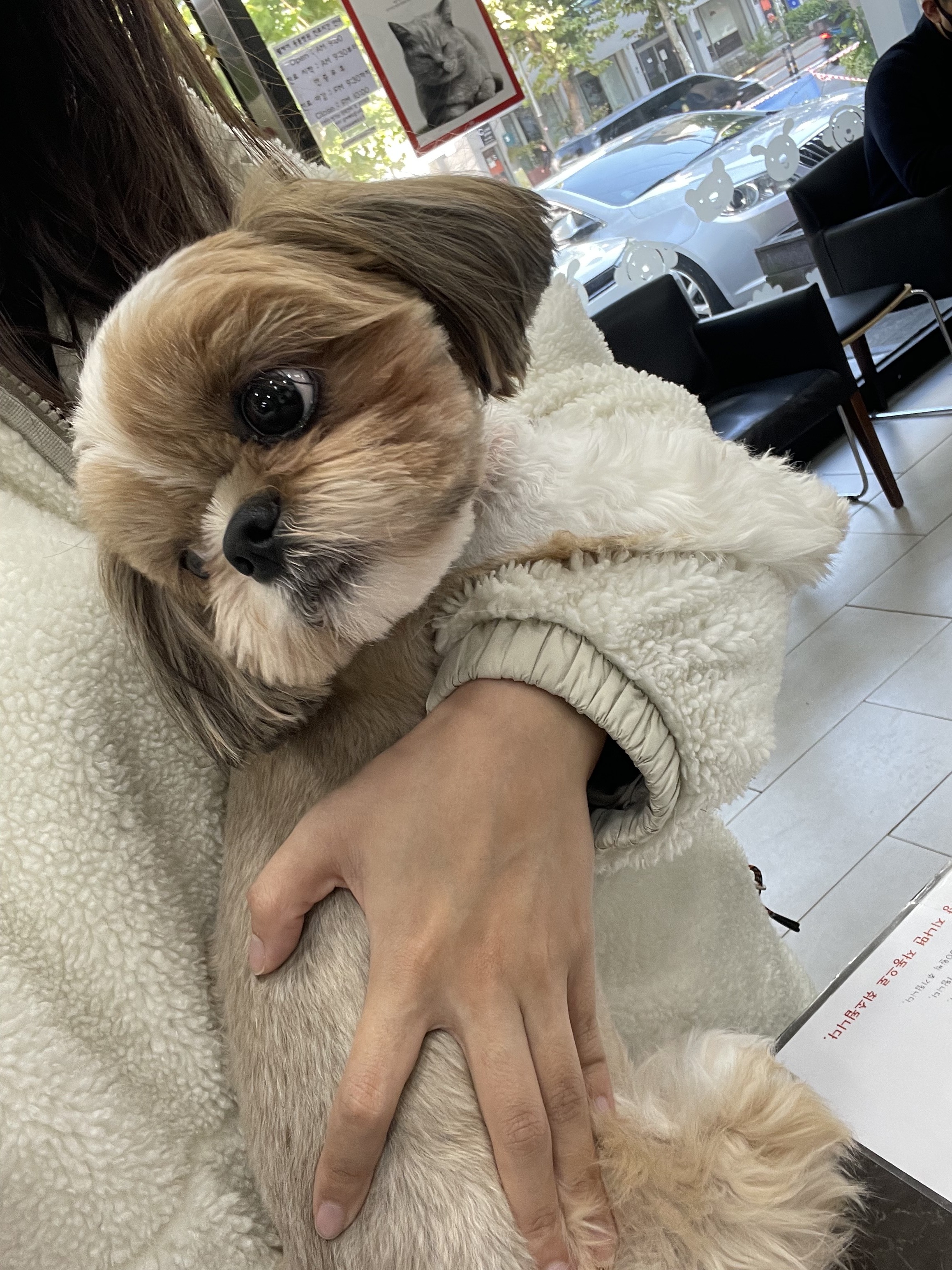 리뷰 사진 1