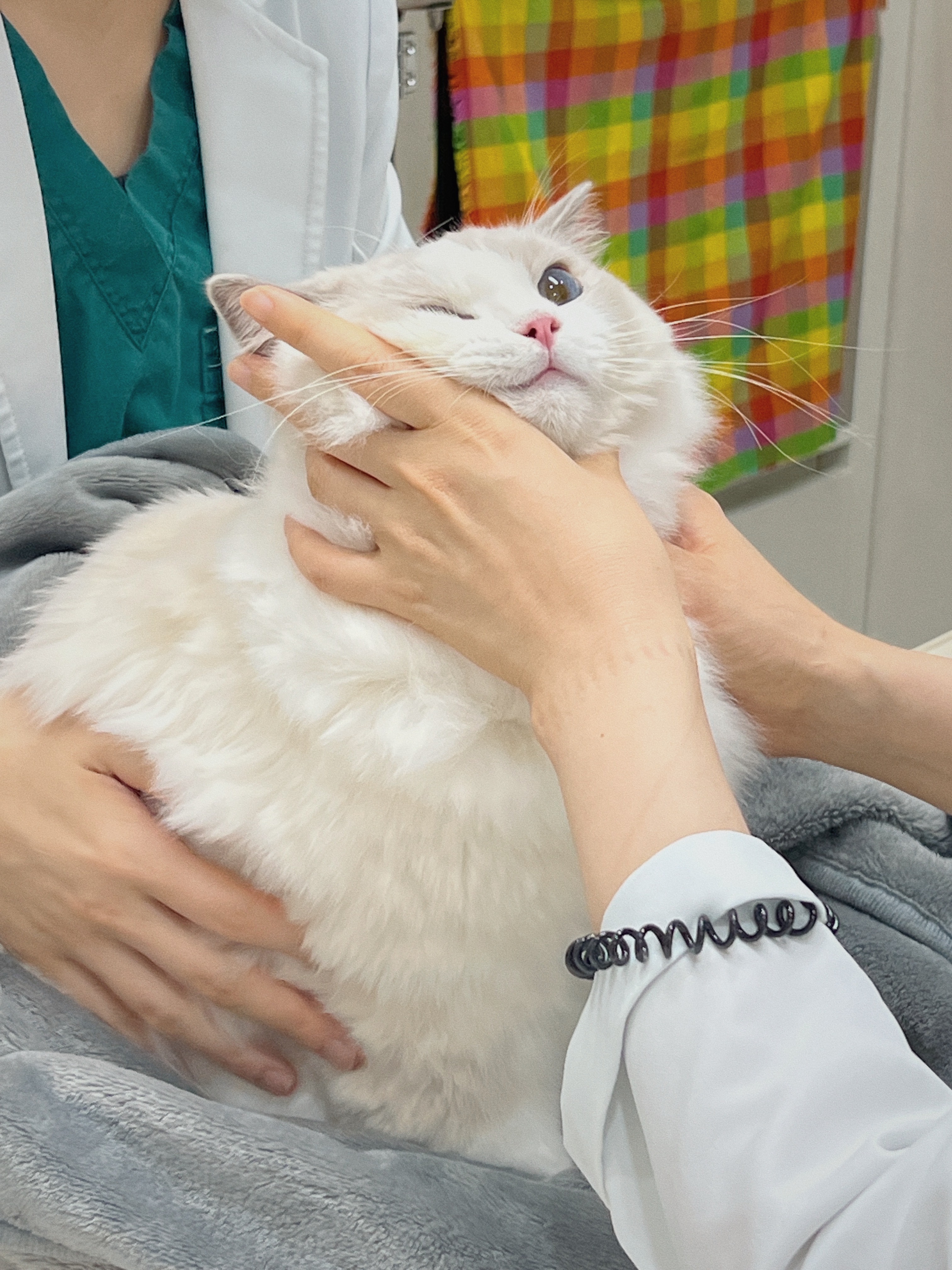 리뷰 사진 1