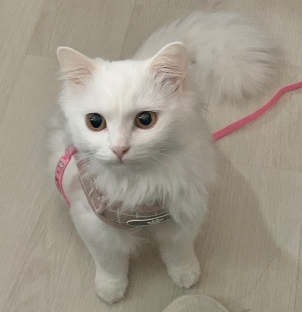 리뷰 사진 1