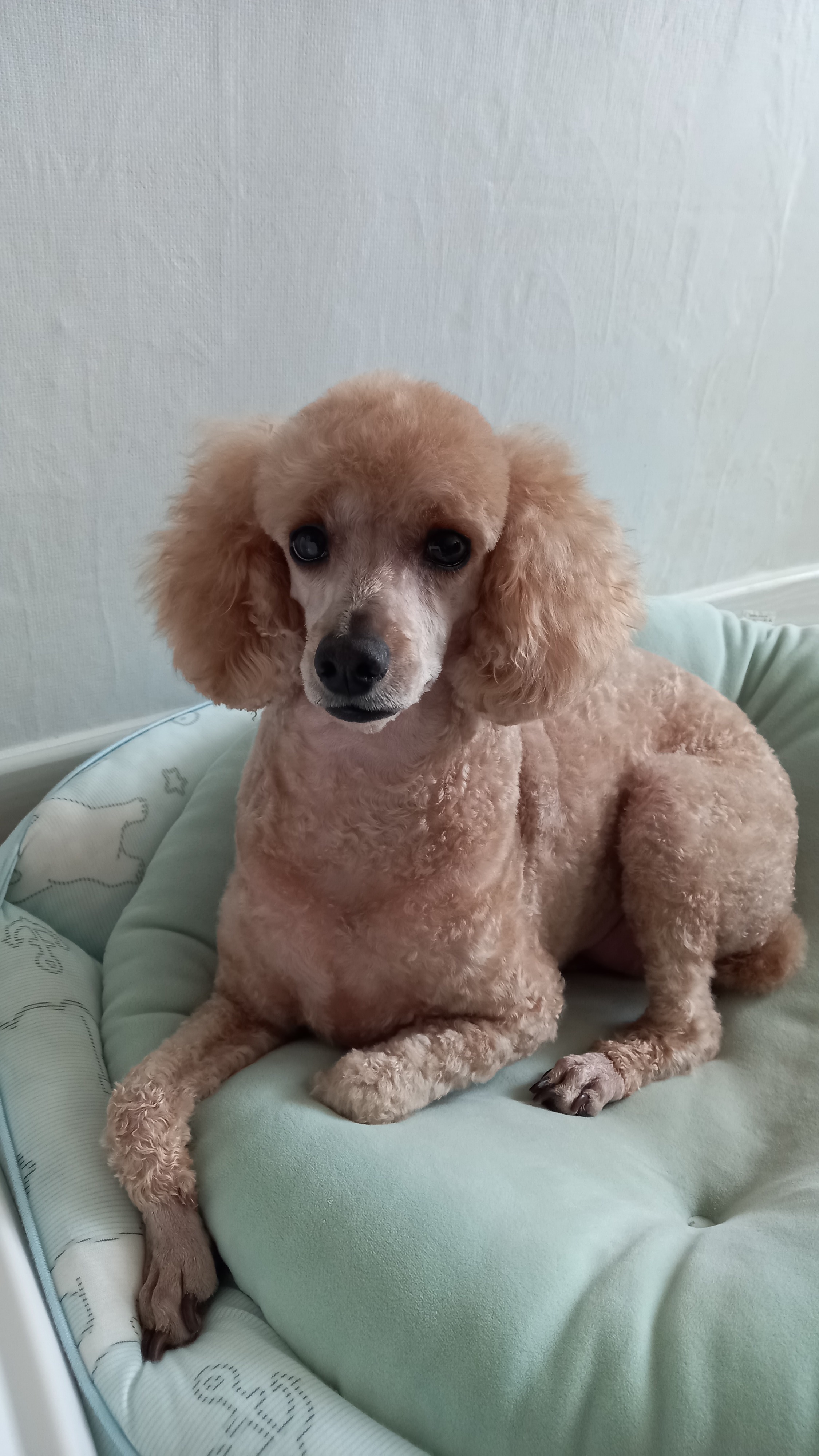 리뷰 사진 1