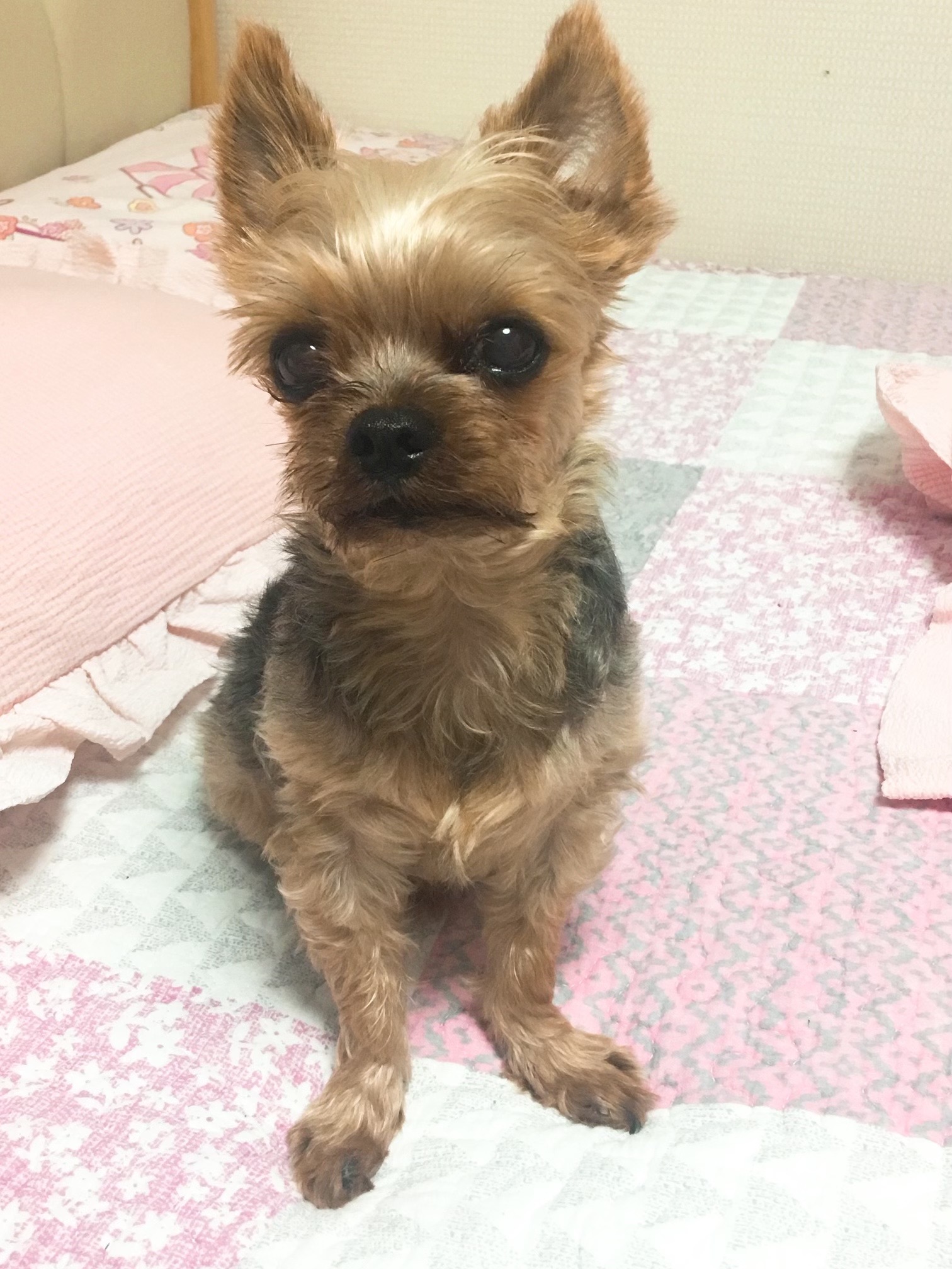 리뷰 사진 1