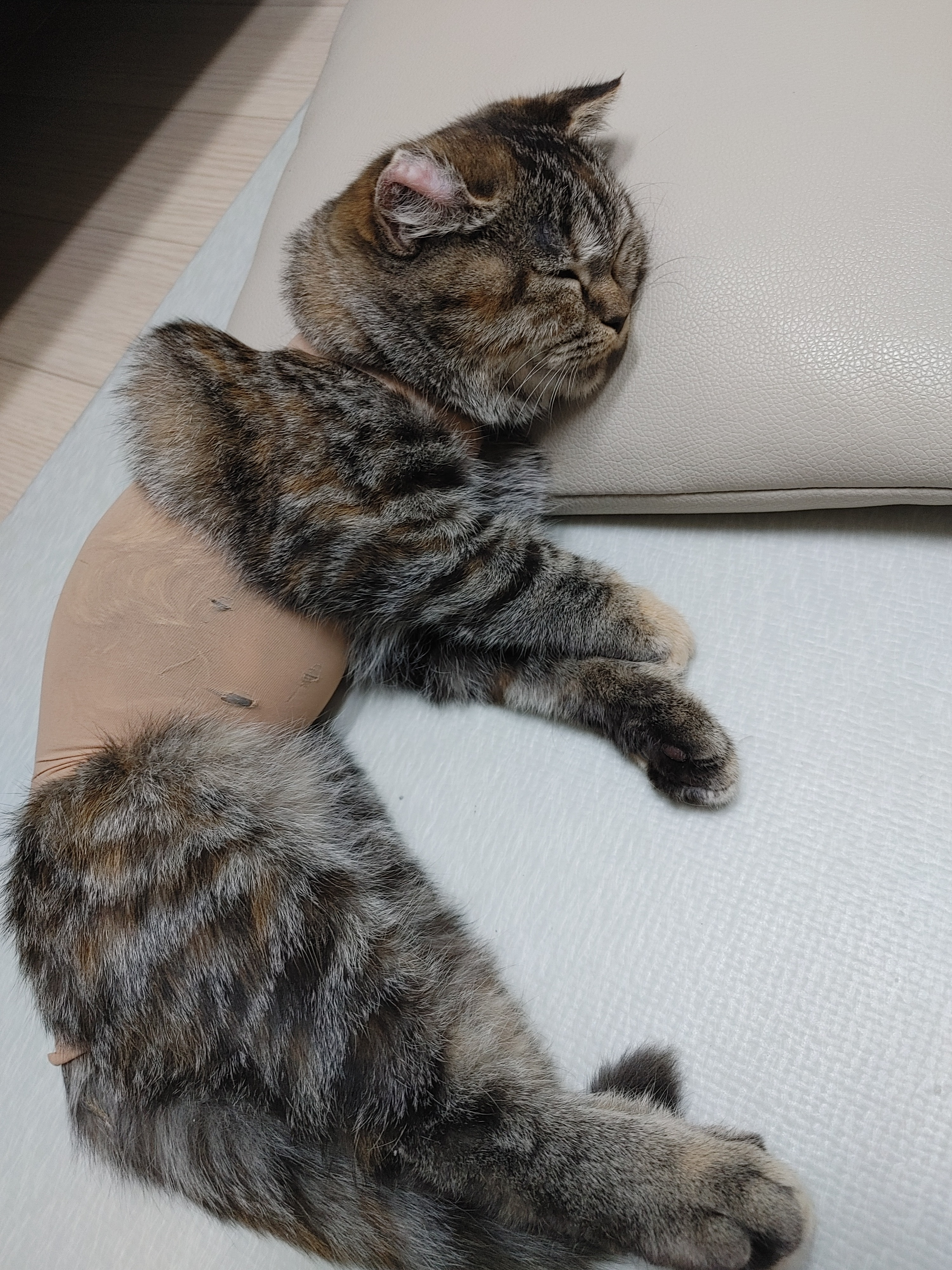 담은동물병원 사진 3