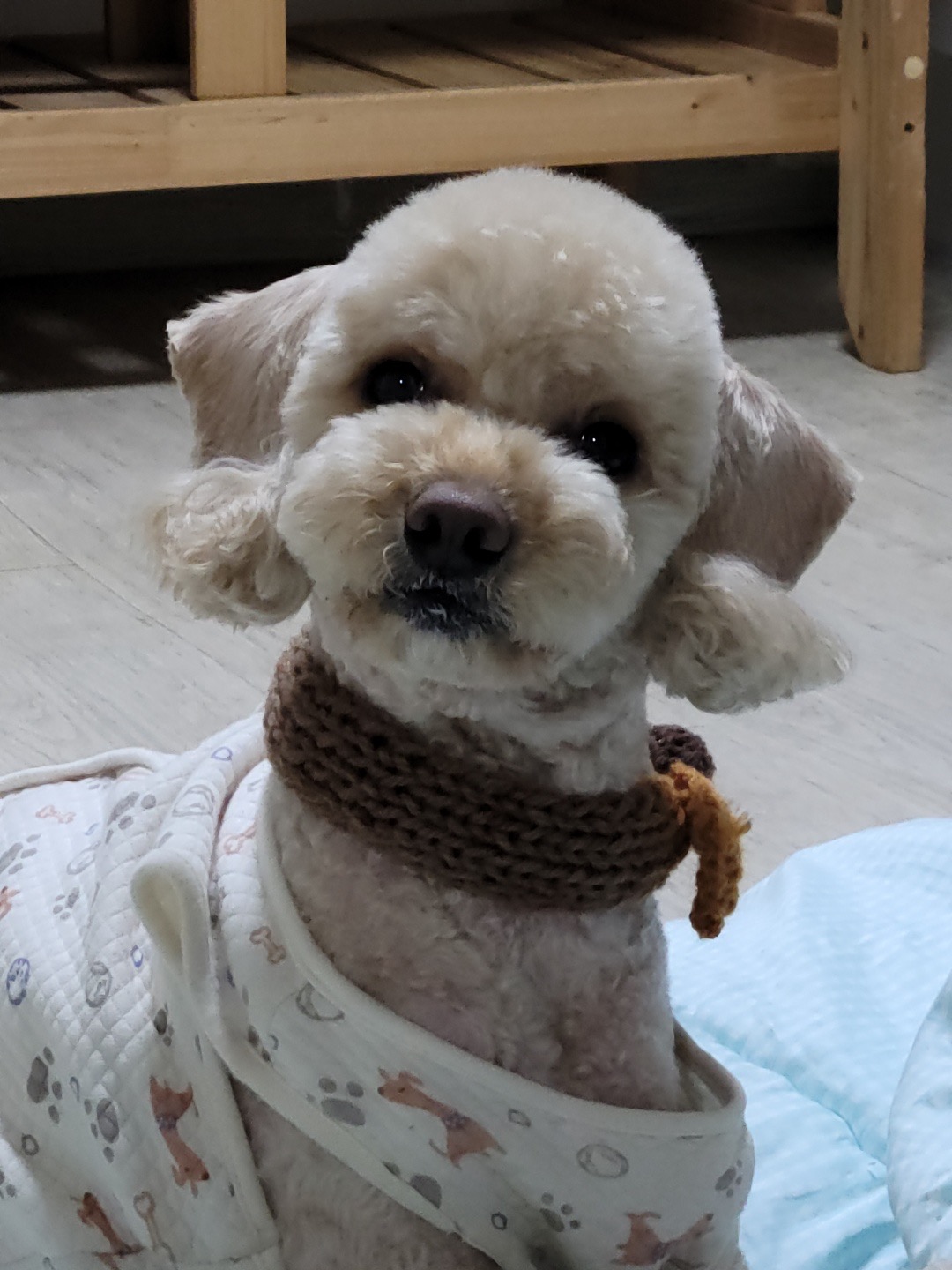 리뷰 사진 1