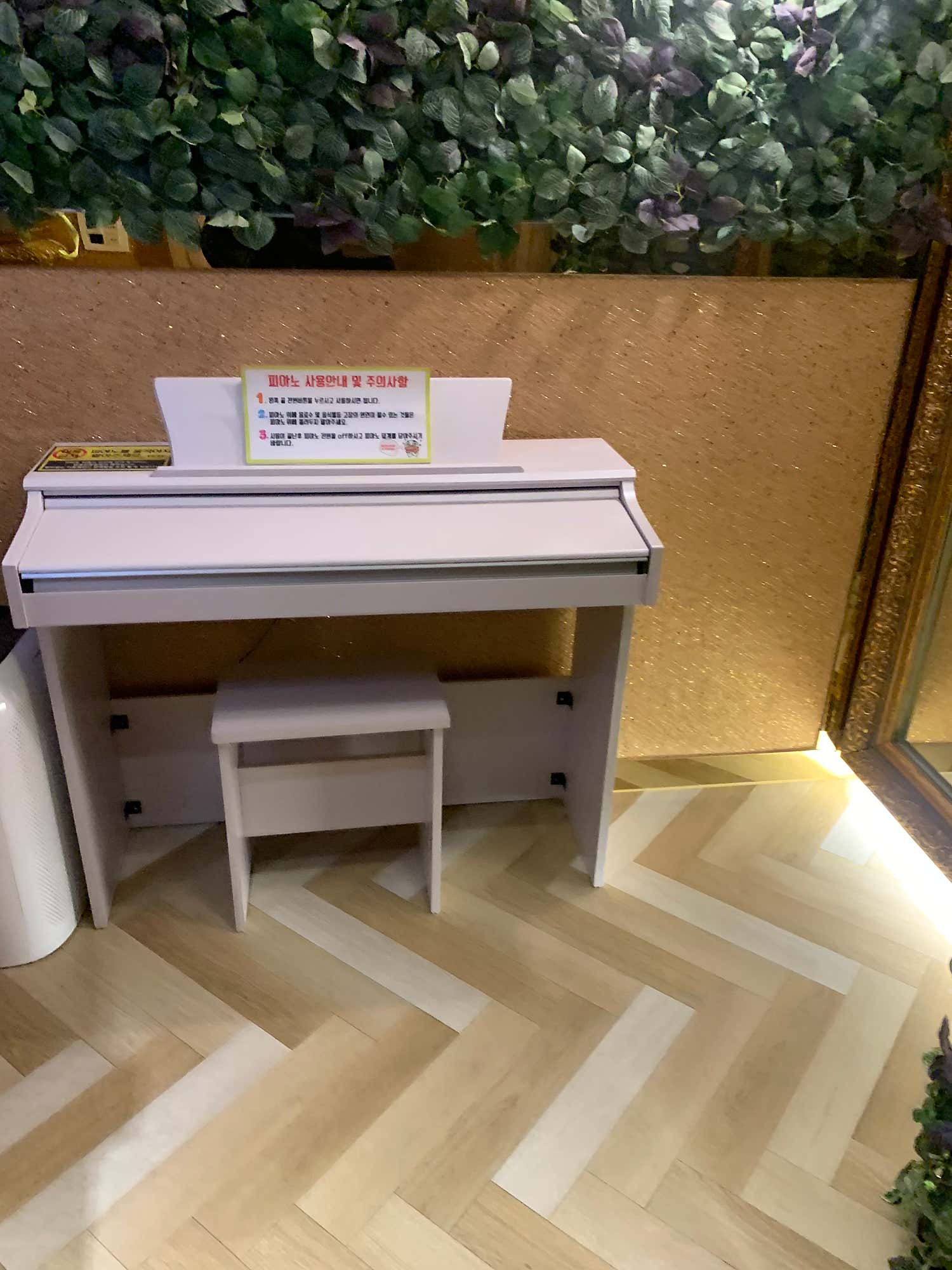 2번째 스튜디오 사진