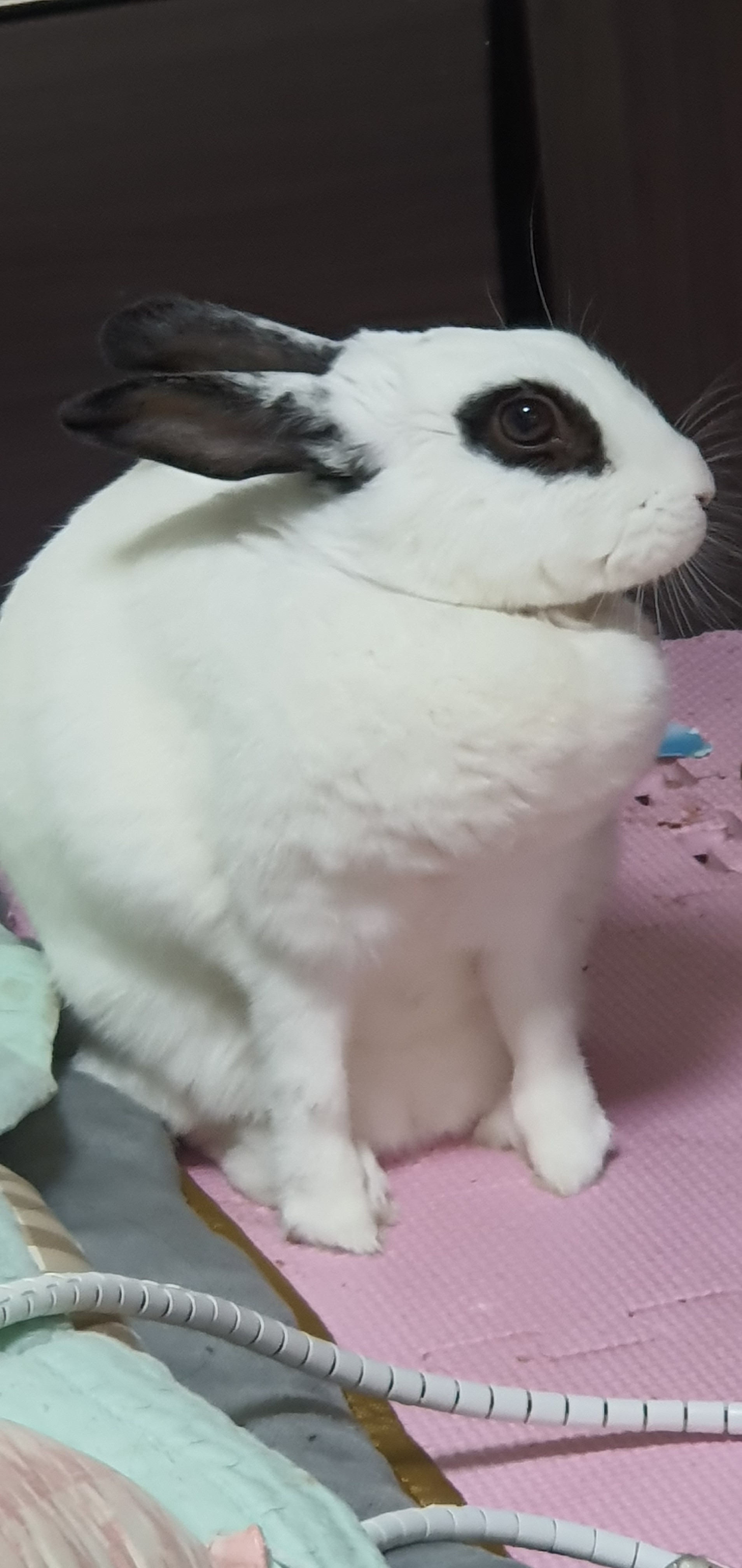 리뷰 사진 2
