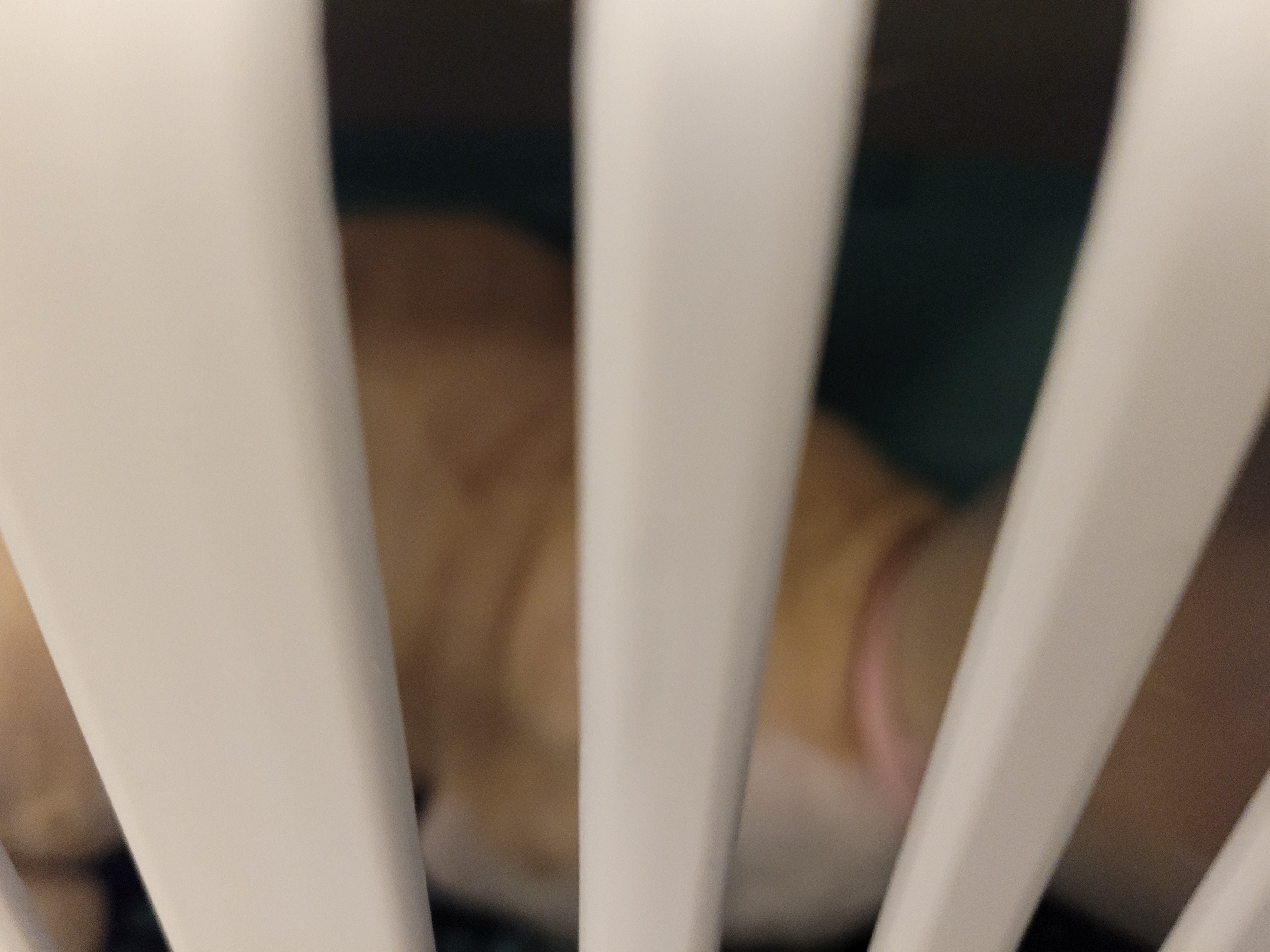 리뷰 사진 2