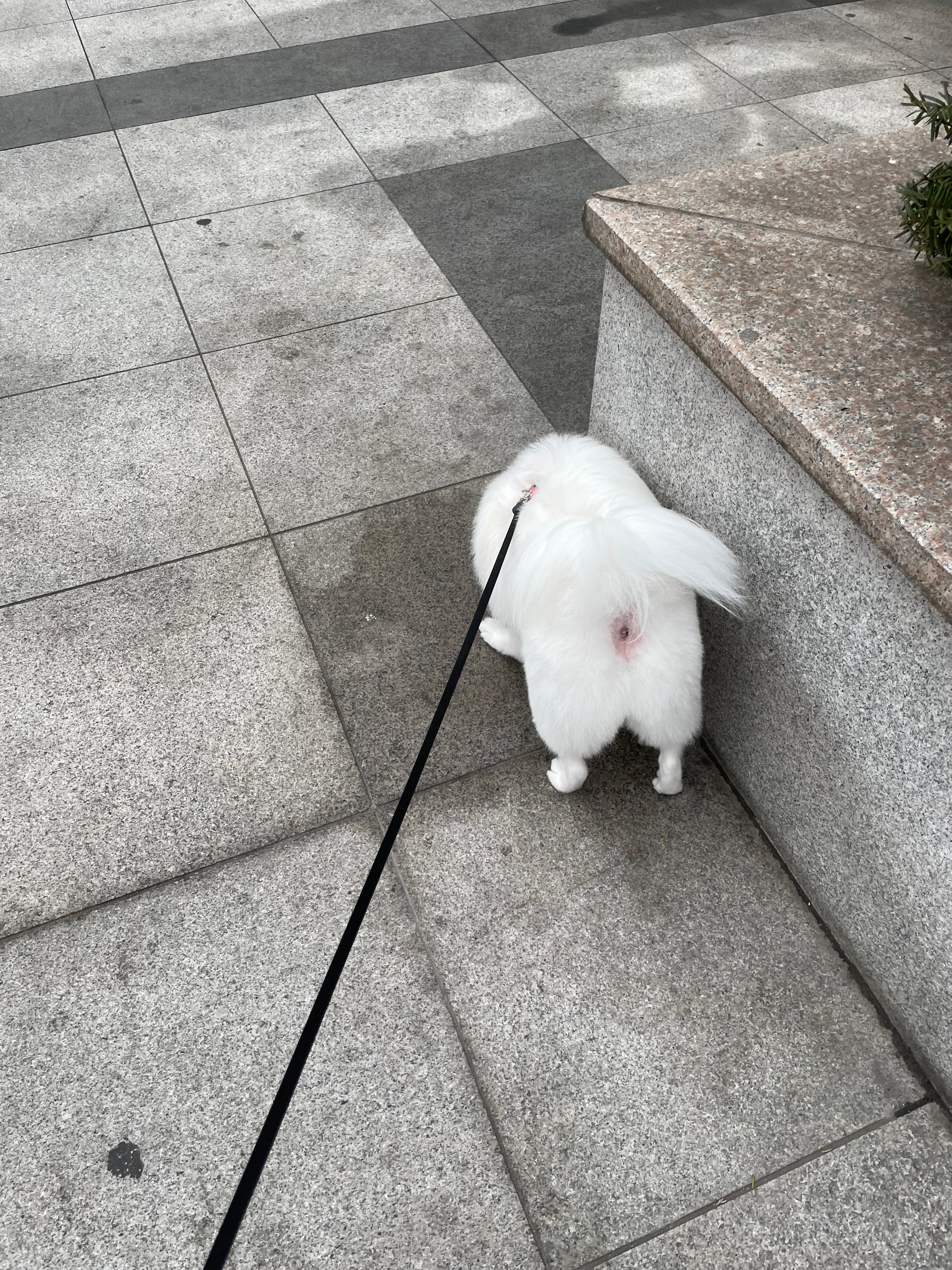 왕십리조은동물병원 사진 2